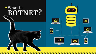 Was ist ein Botnet? Wie funktioniert es? Definition & Beispiele | Gridinsoft