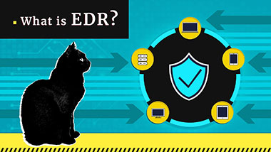 Was ist Endpoint Detection and Response? EDR-Definition | Gridinsoft
