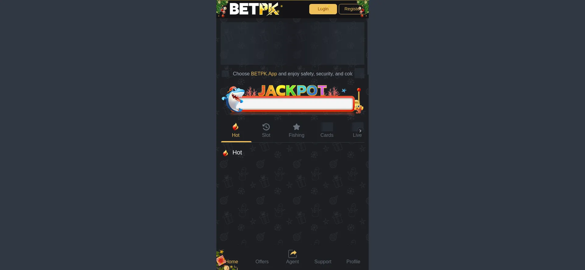 Website screenshot of 11betpk.com