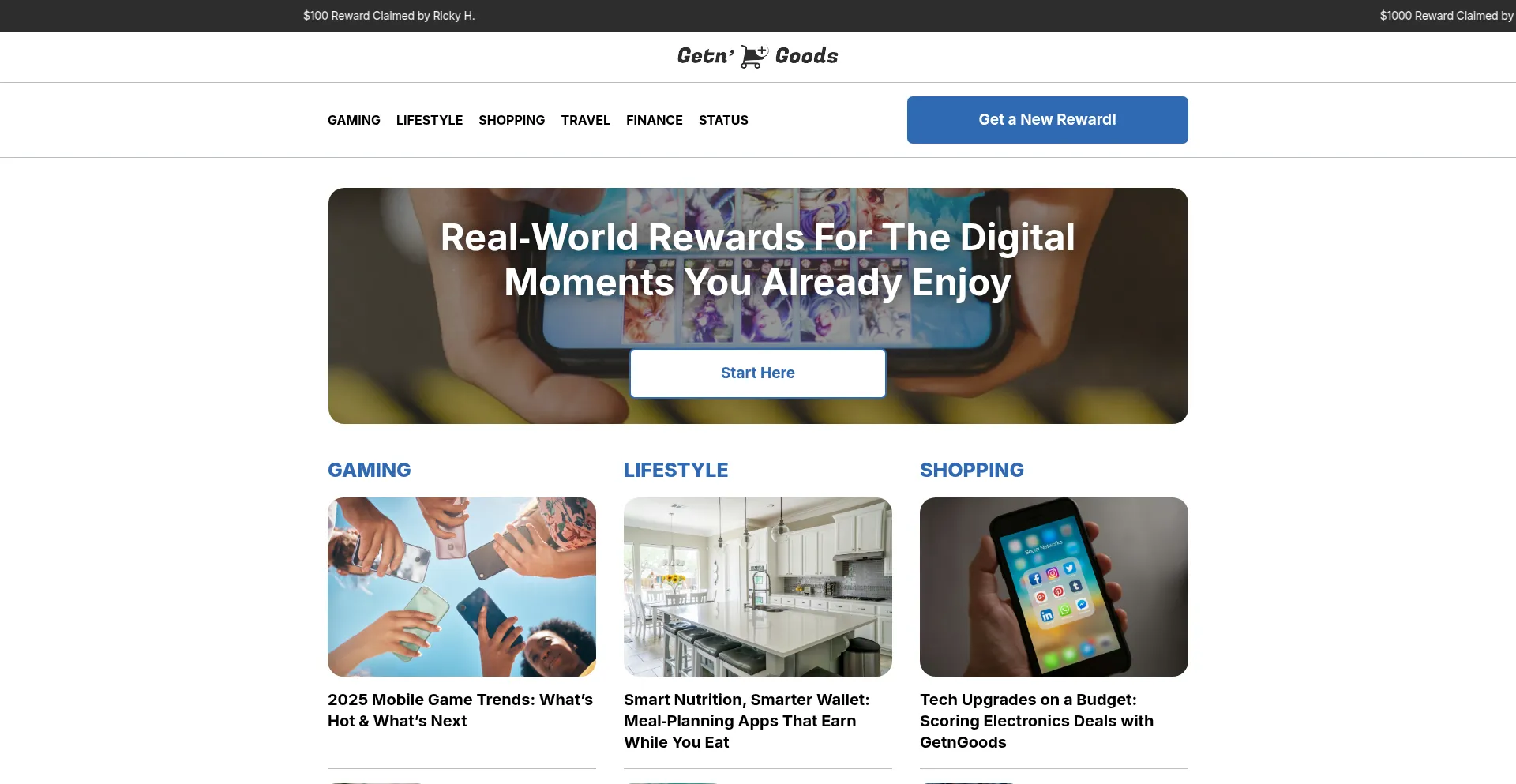Website screenshot of 18.getnngoods.com