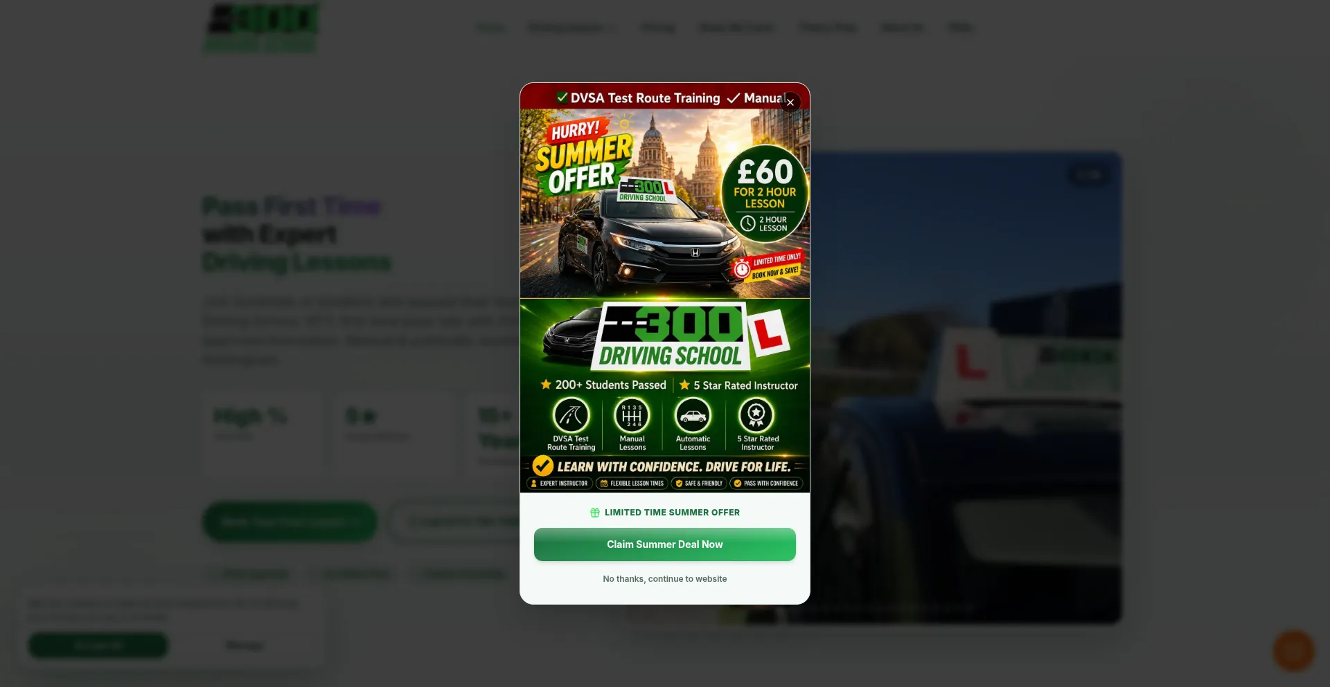300drivingschool.com