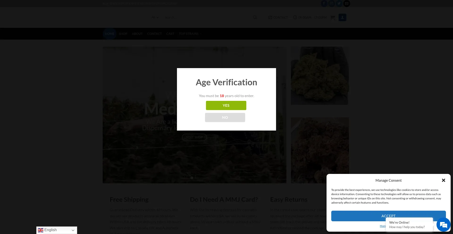 Website screenshot of 420medicalhome.com
