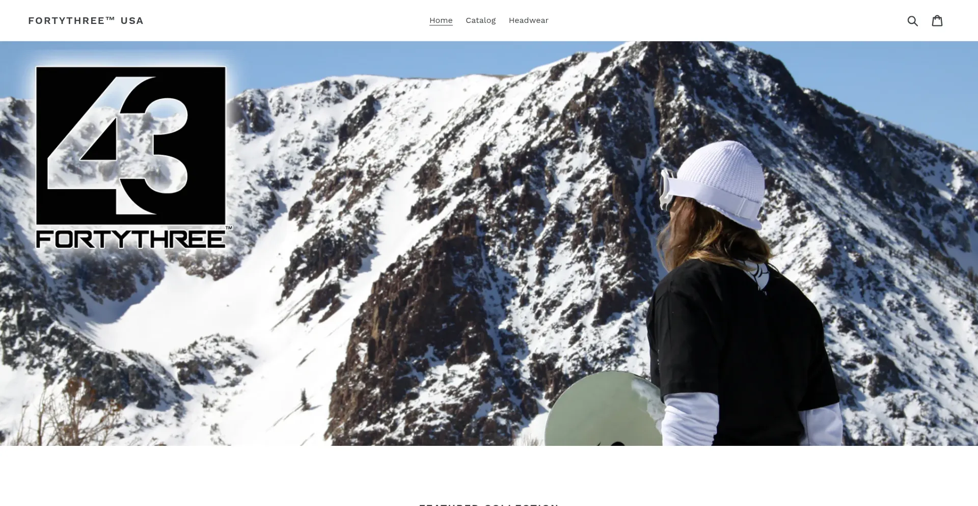 Website screenshot of 43usa.com