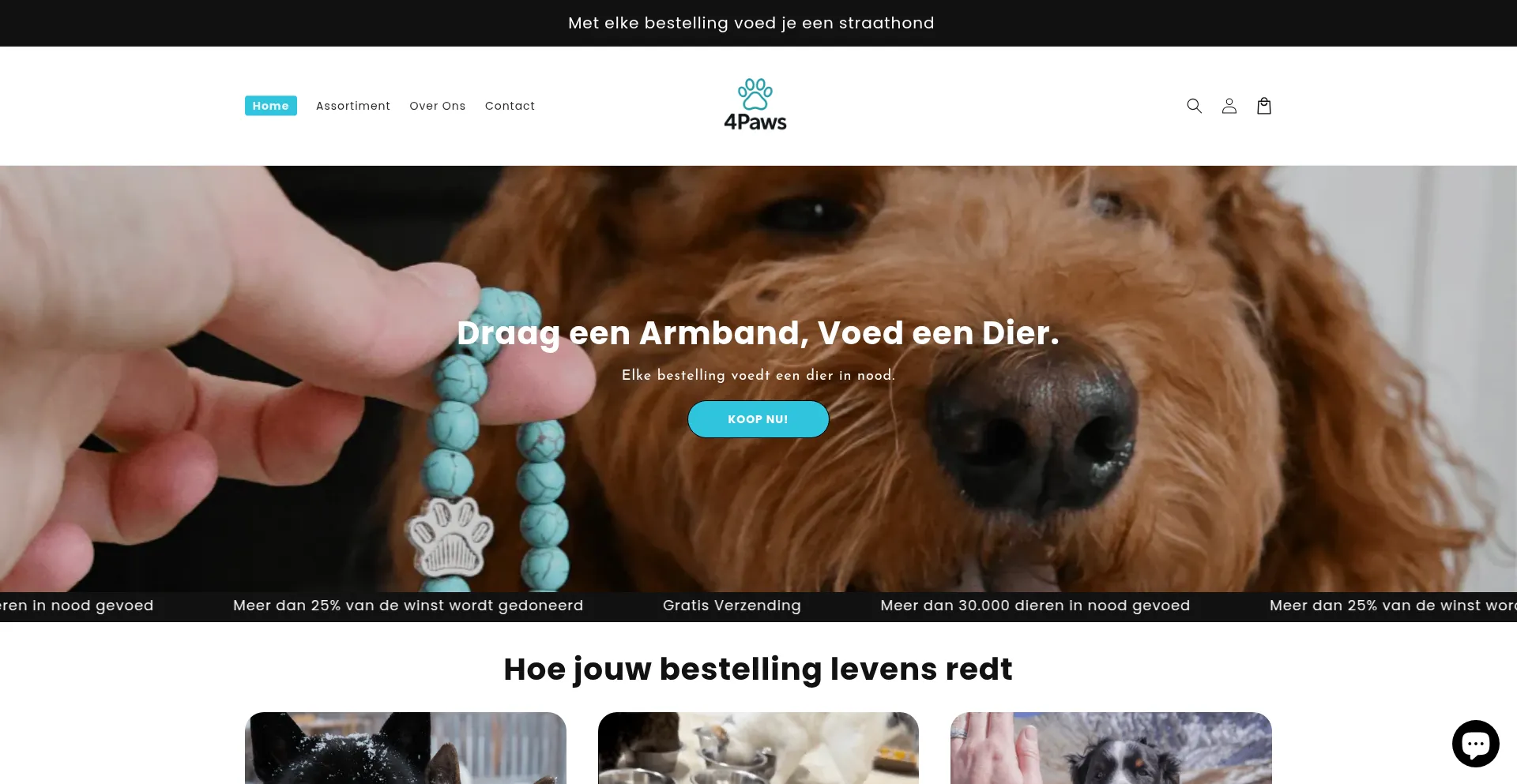 Ist 4pawswinkel.nl sicher und vertrauenswürdig?