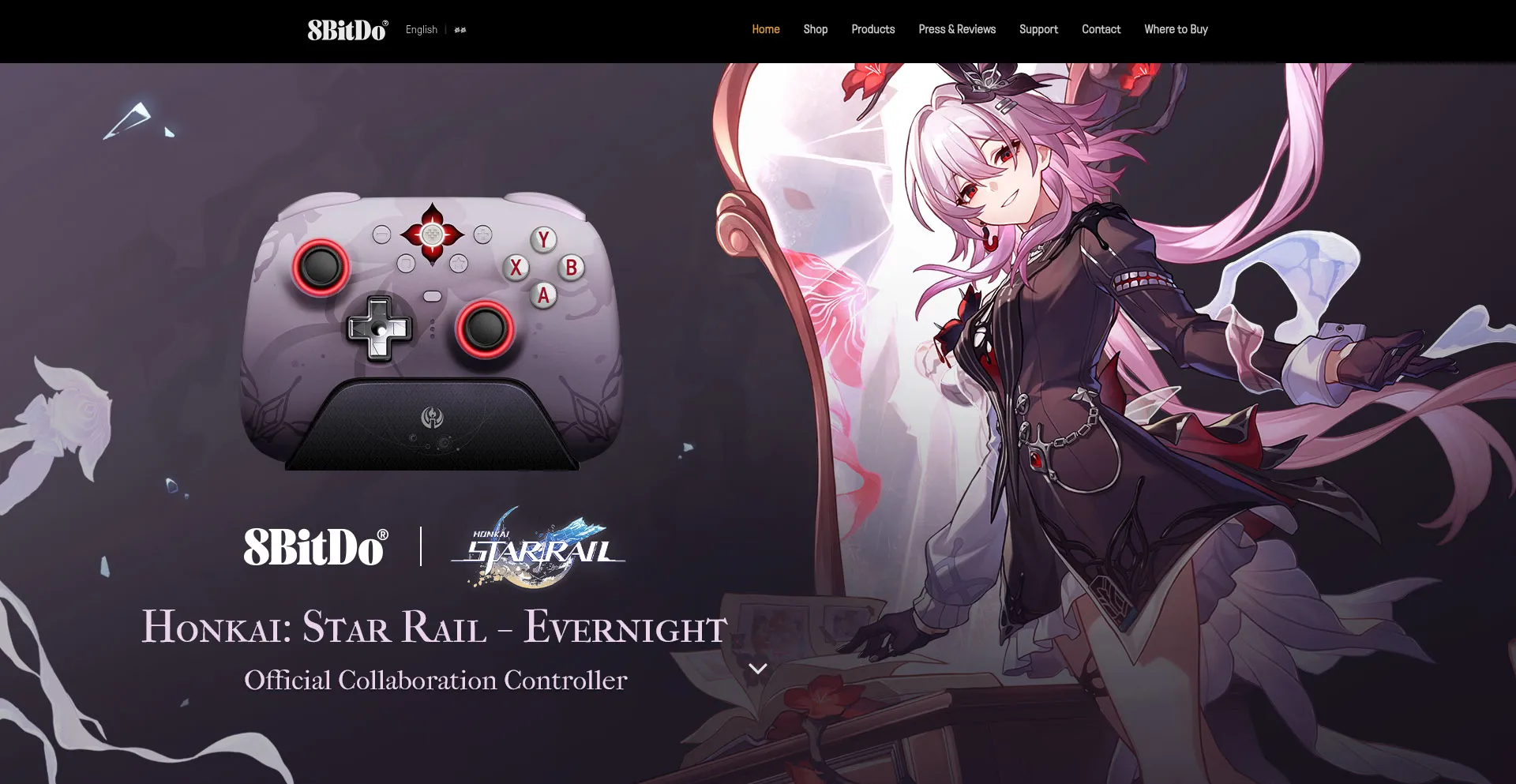 8bitdo.com Screenshot
