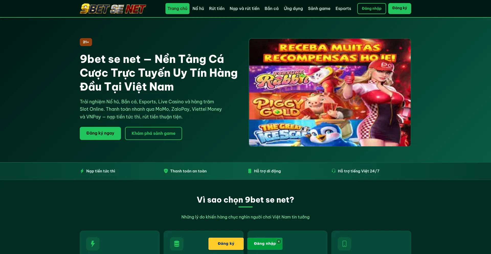 9betsenet.net