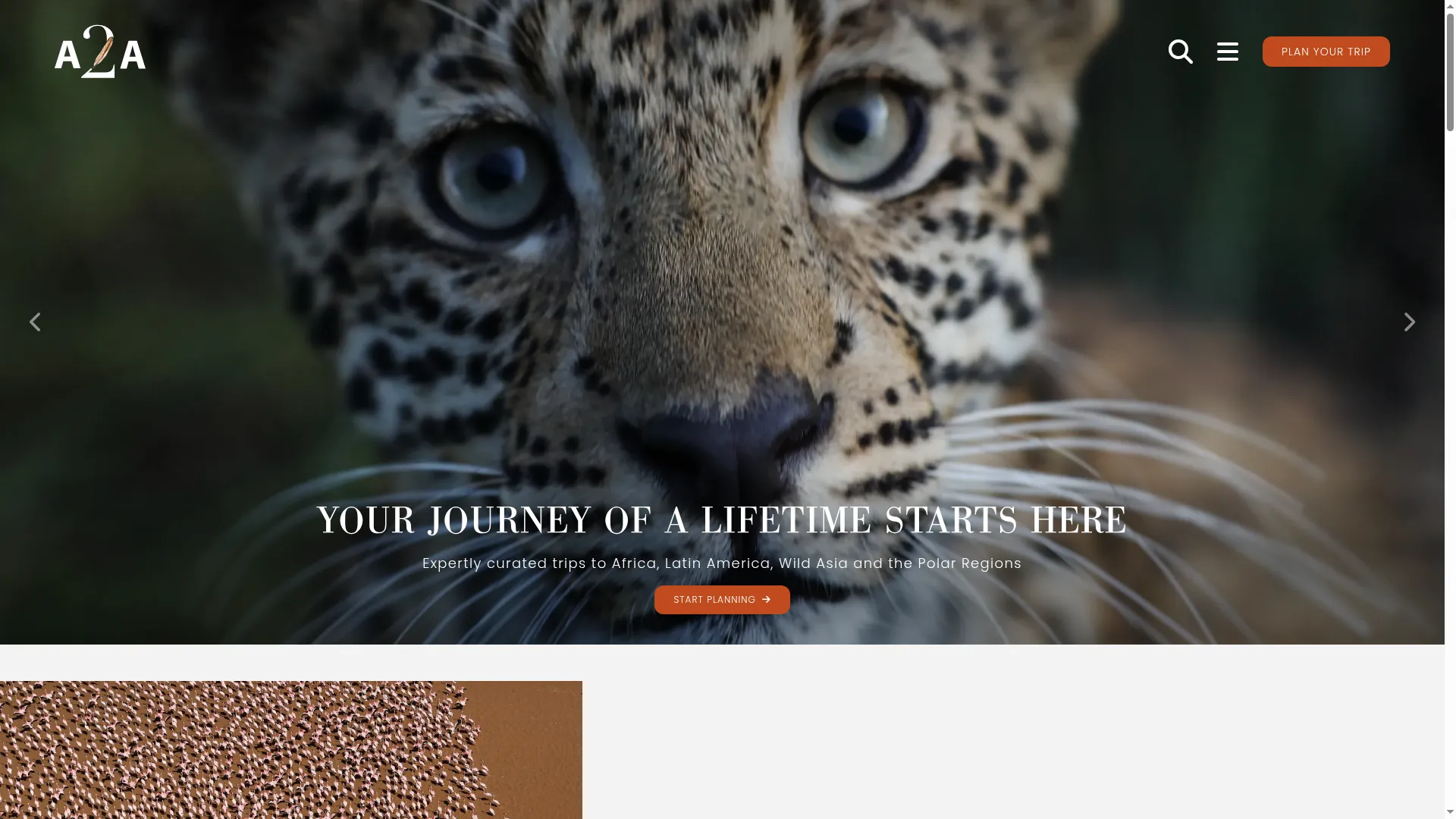 A2asafaris.com