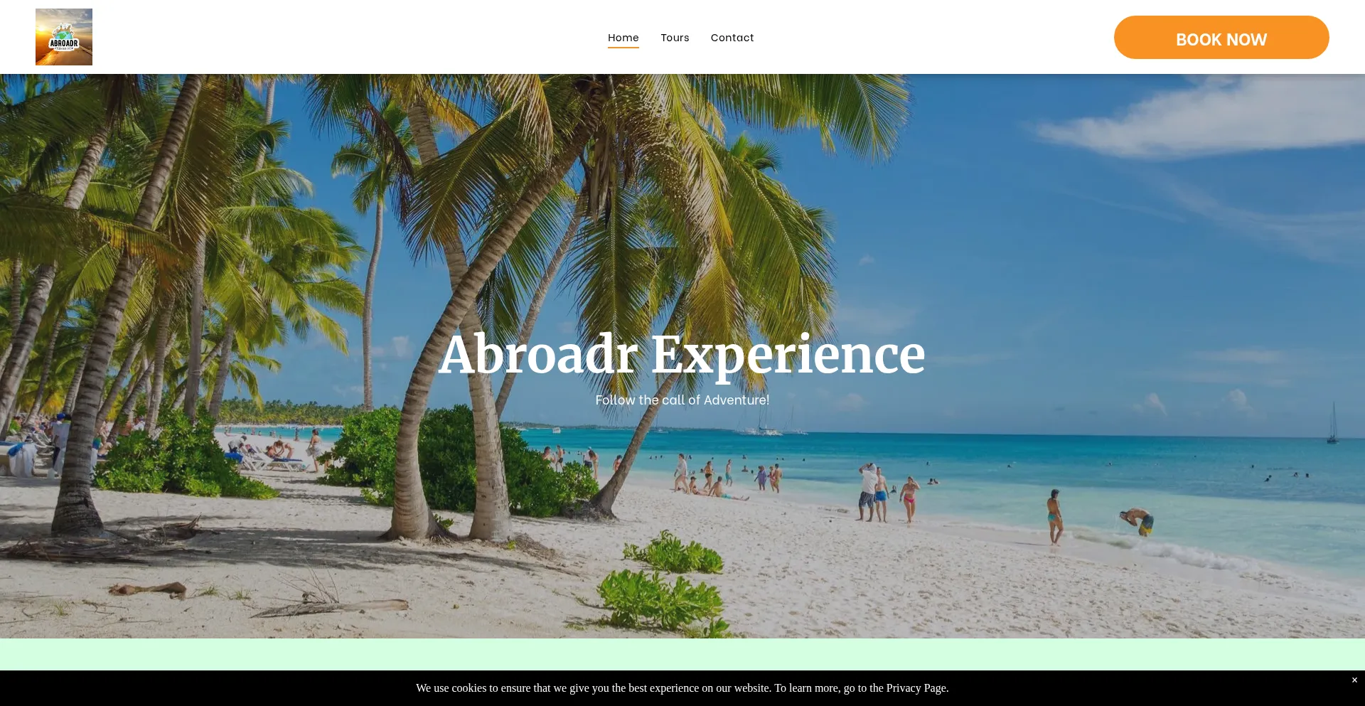 Website screenshot of Abroadr.com