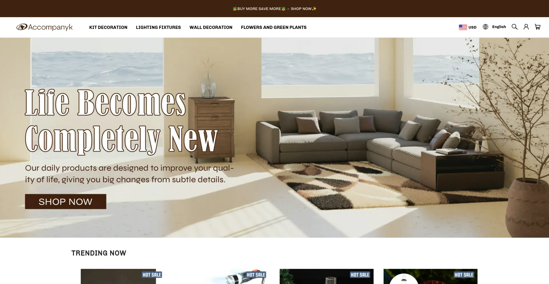 Accompanyk.com