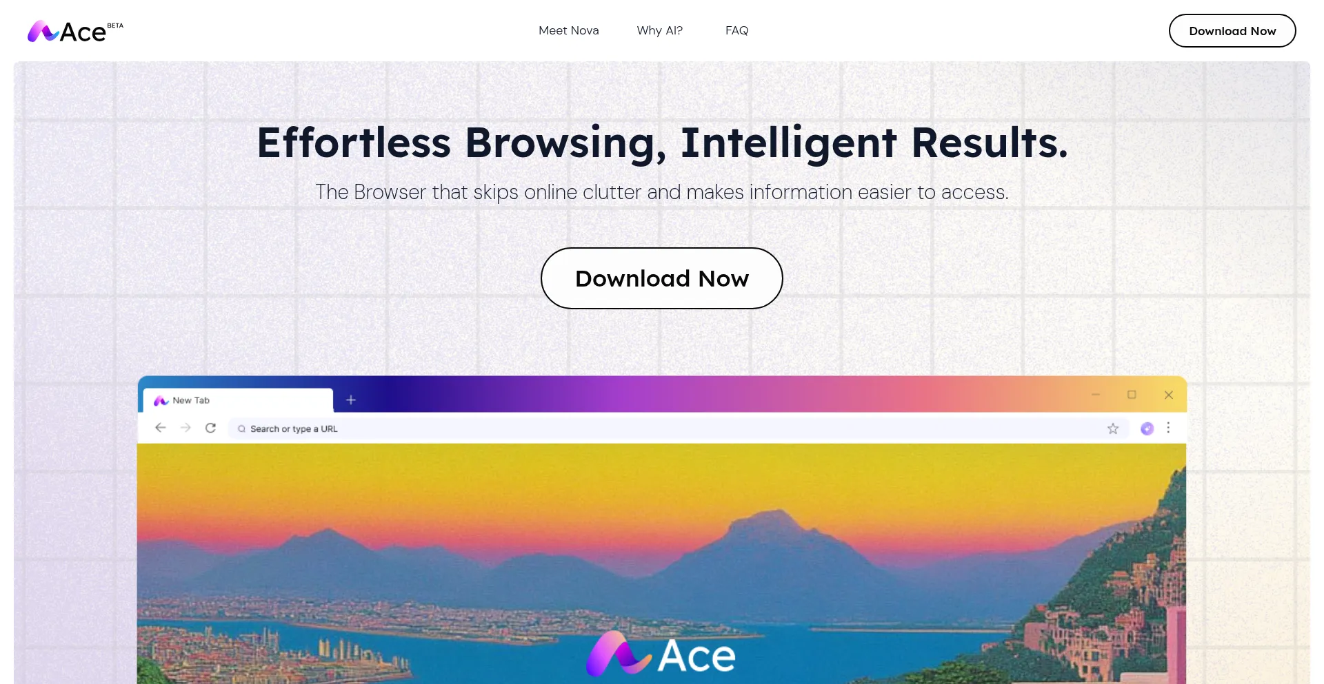Ist Acebrowser.ai sicher und vertrauenswürdig?