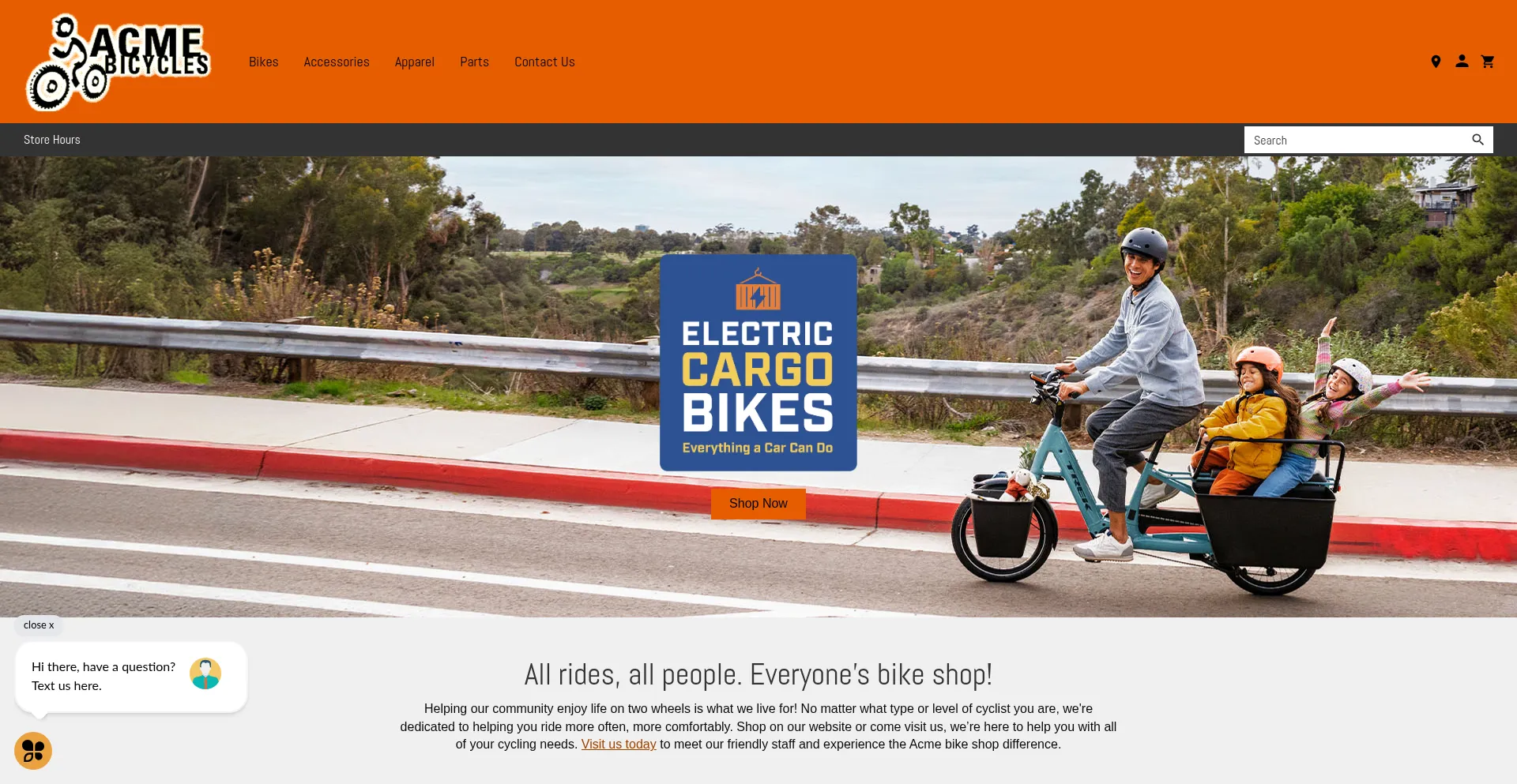 Acmebicycles.com Screenshot