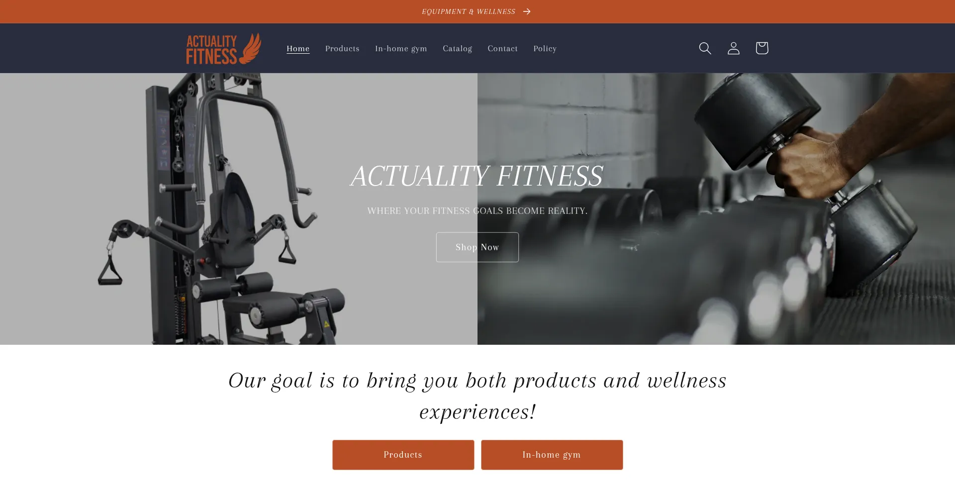 Website screenshot of Actualityfitness.com
