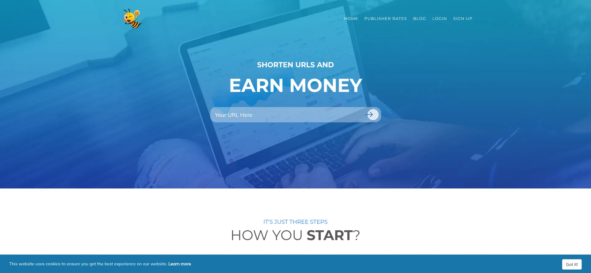 Website screenshot of Adfly.site