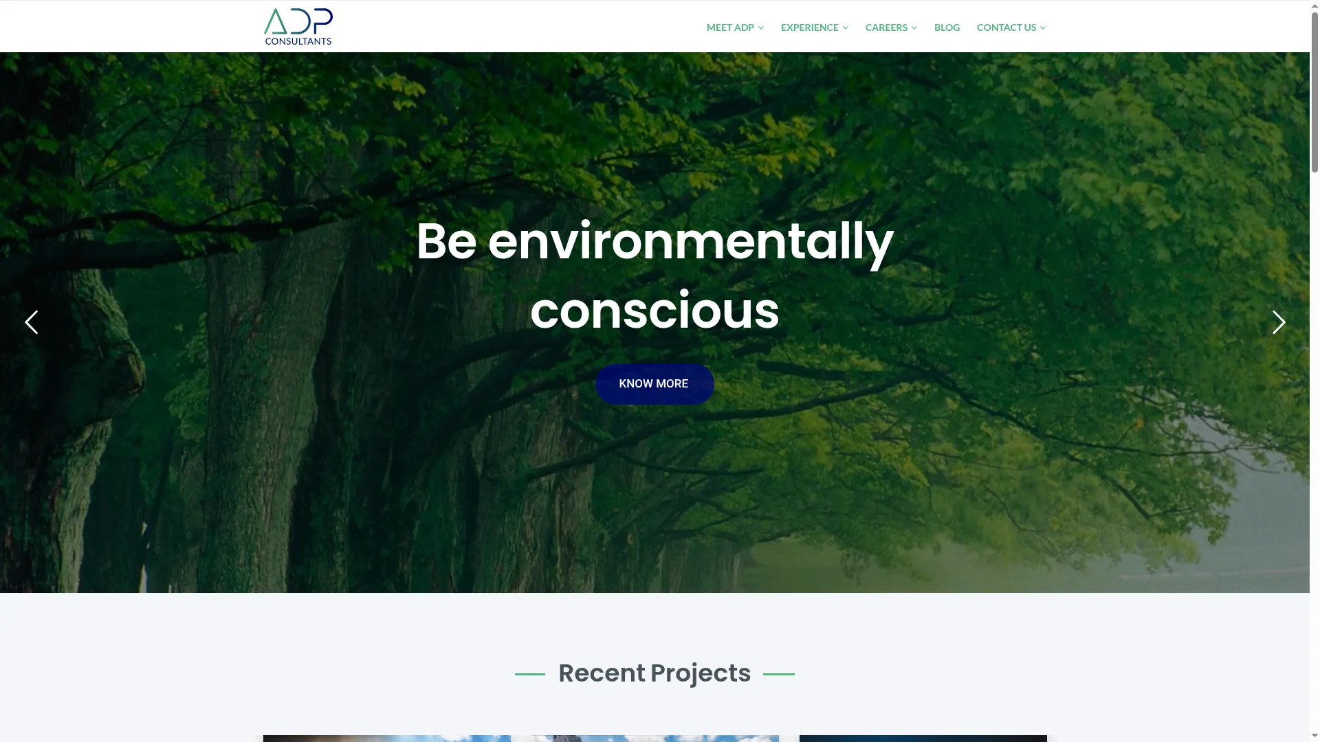 Adpconsultant.com