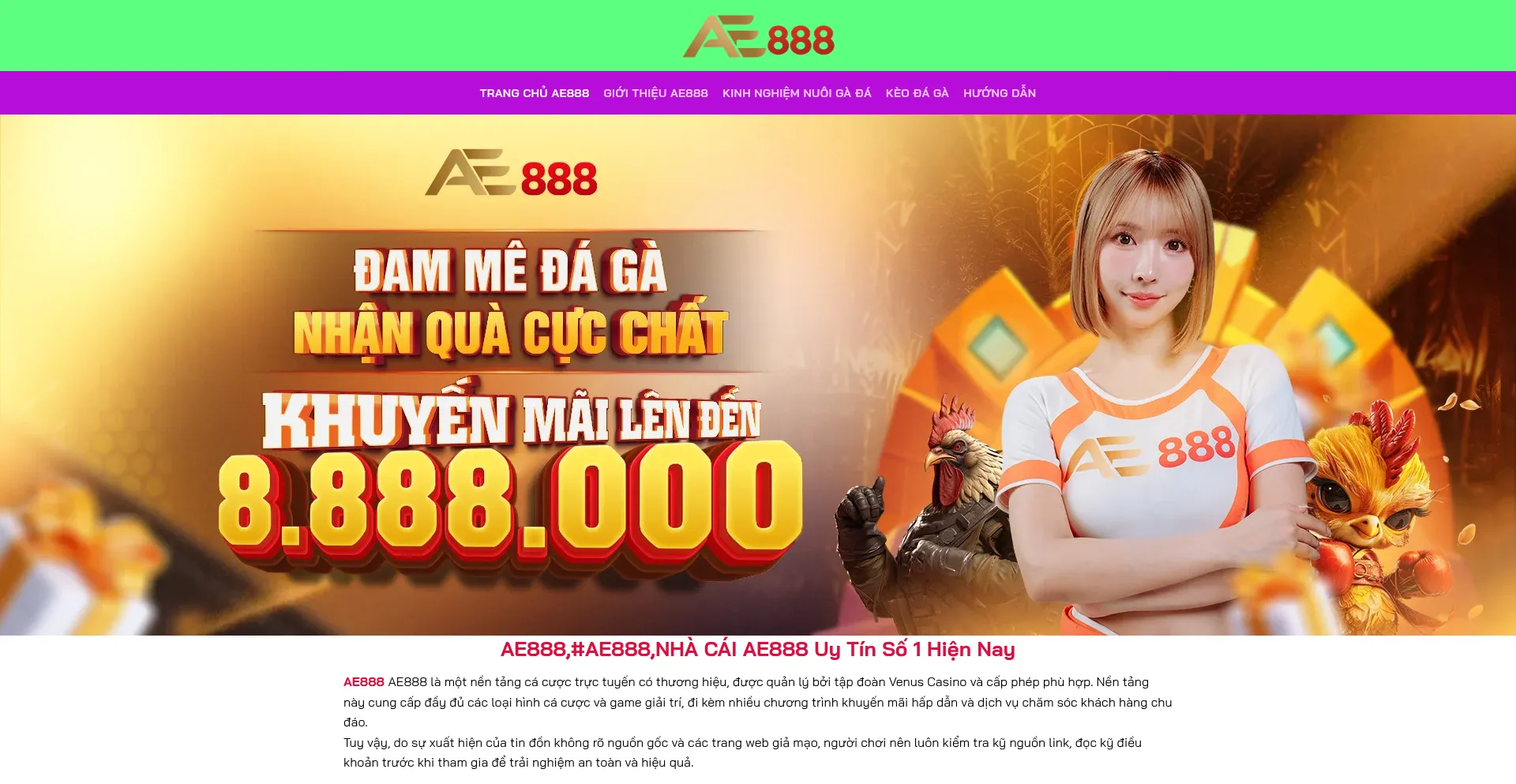 Ist Ae888tot.com sicher und vertrauenswürdig?