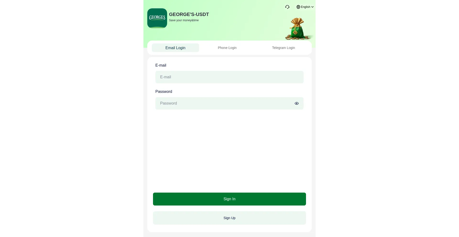 Website screenshot of Aengv.com