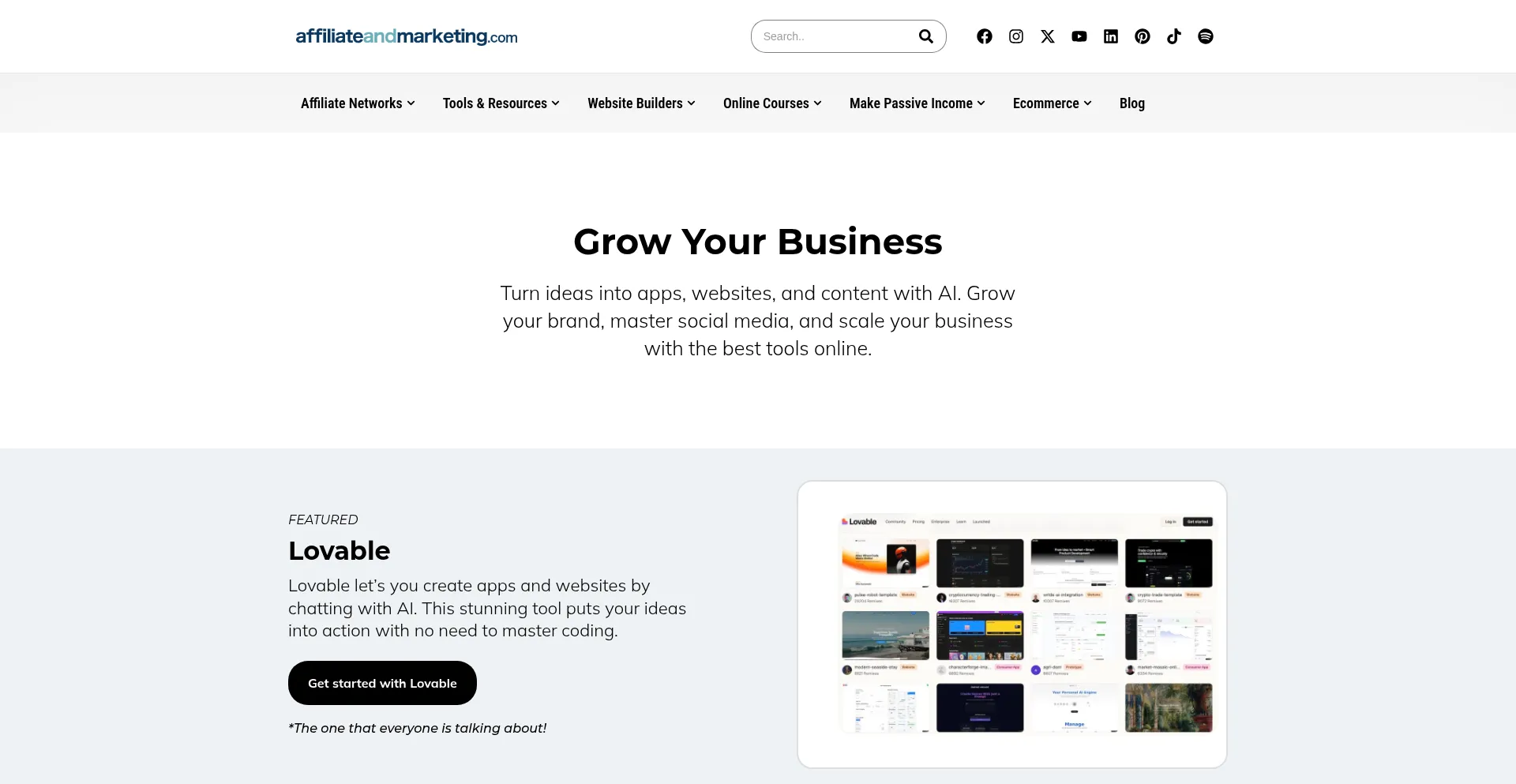 Website screenshot of Affiliateandmarketing.com