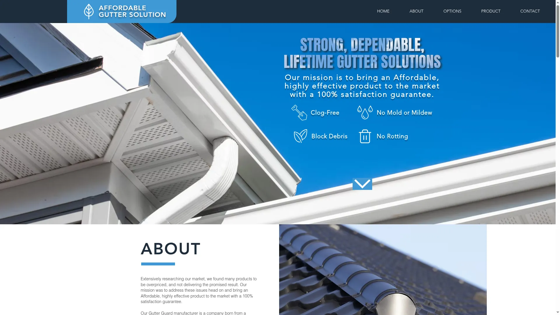 Affordableguttersolution.com