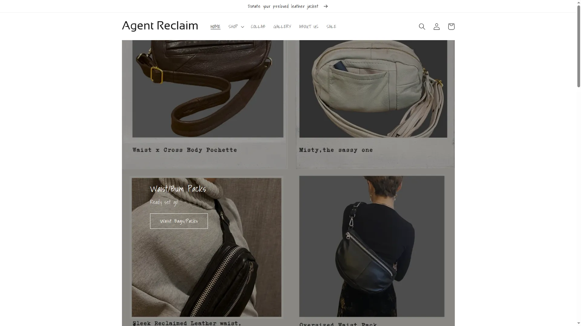Agentreclaim.com