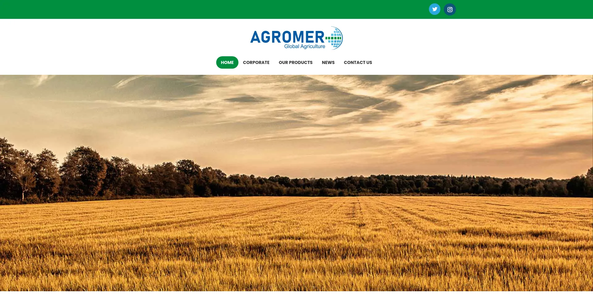 Agromergroup.com