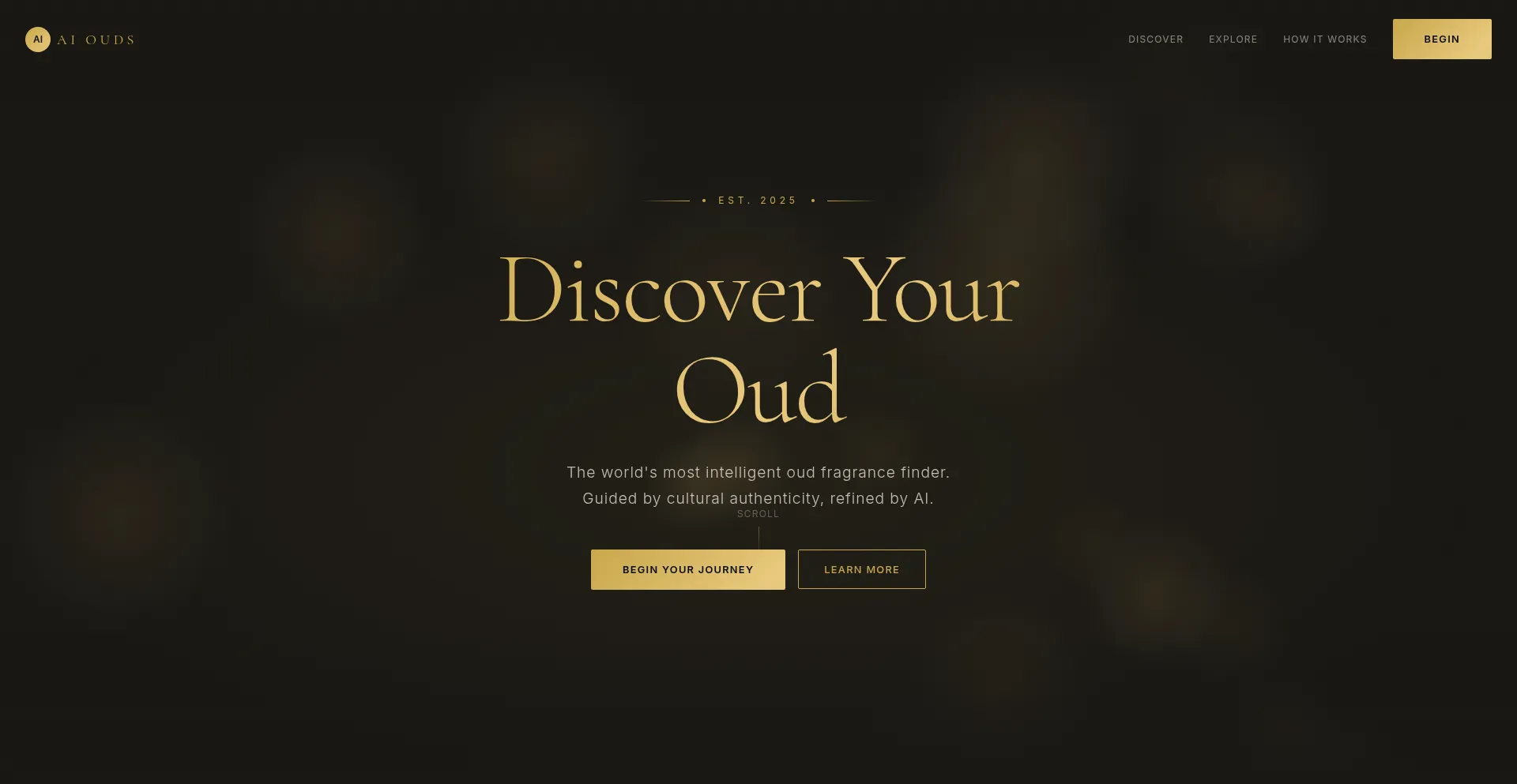 Aiouds.com