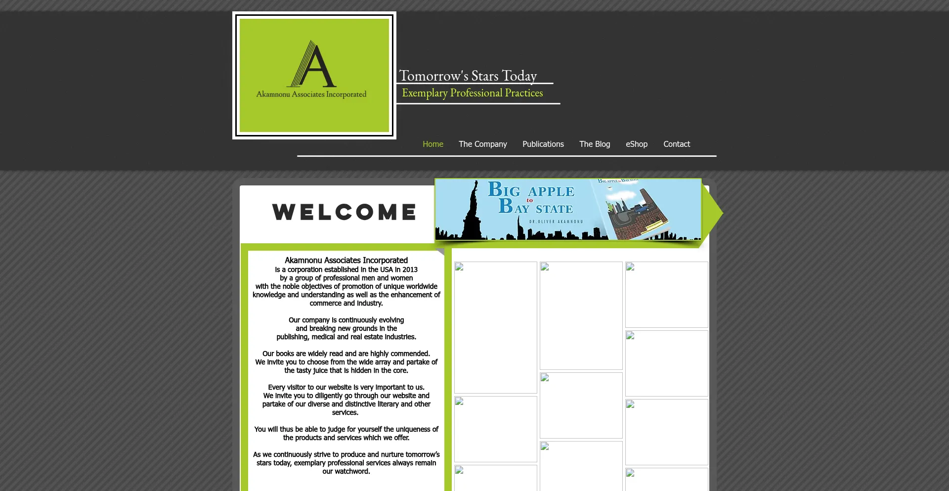 Akamnonuassociatesinc.com Screenshot