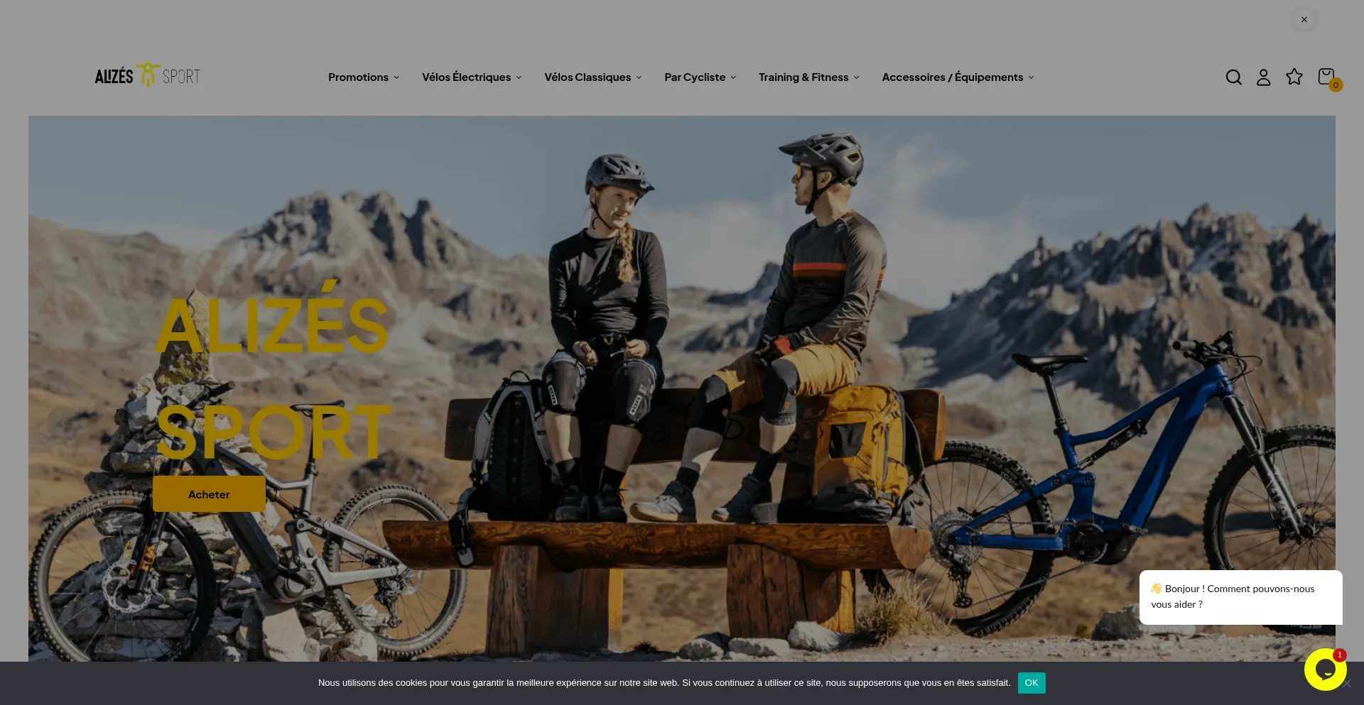 Alizessport.com