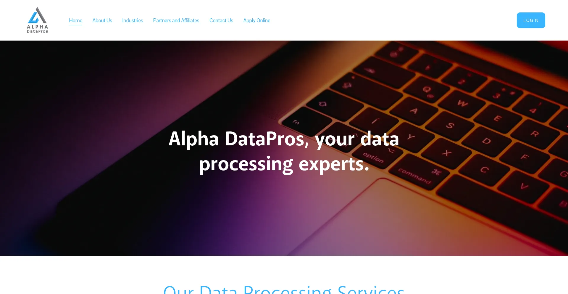 Website screenshot of Alphadatapros.com