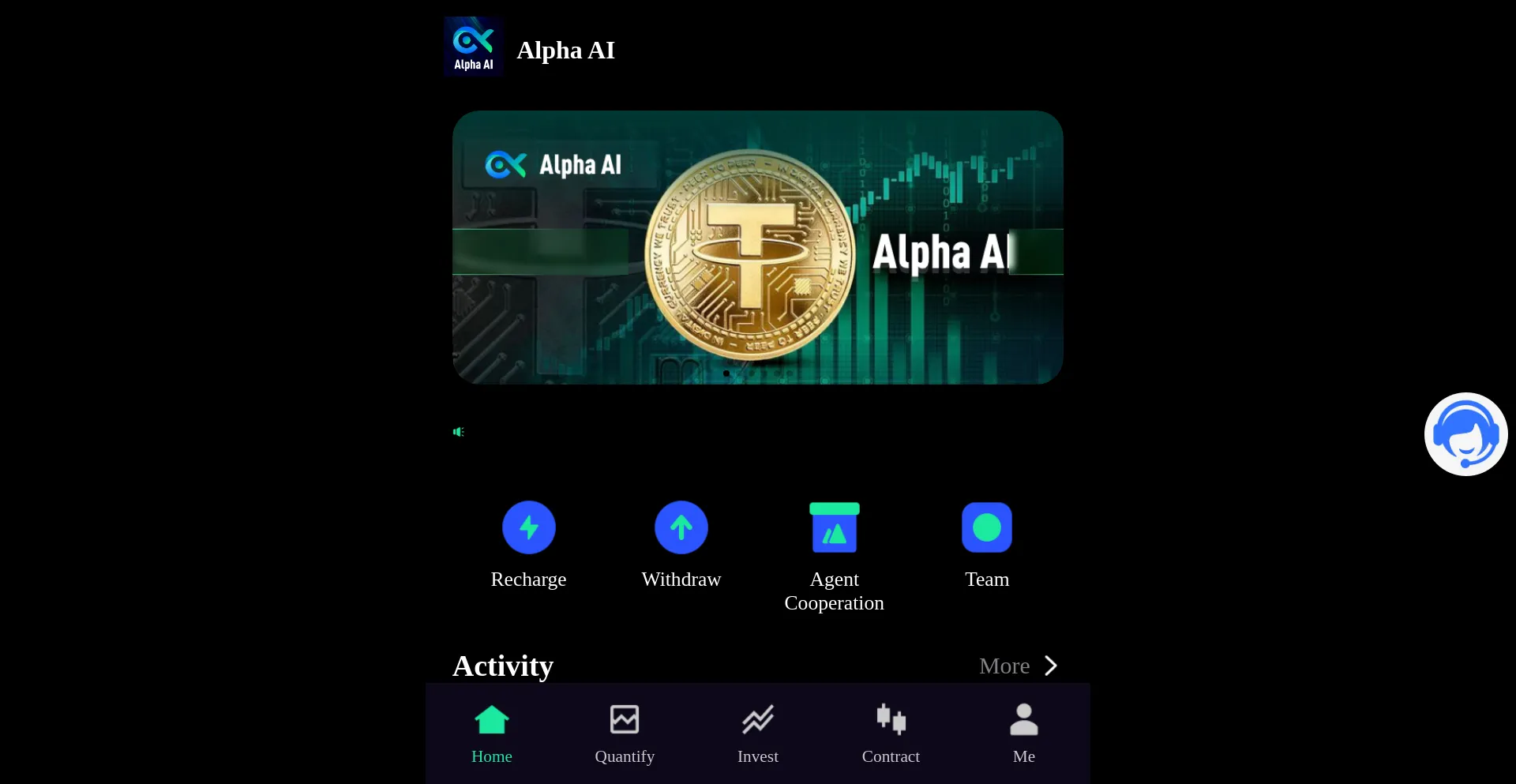 Website screenshot of Alphaquant.cc