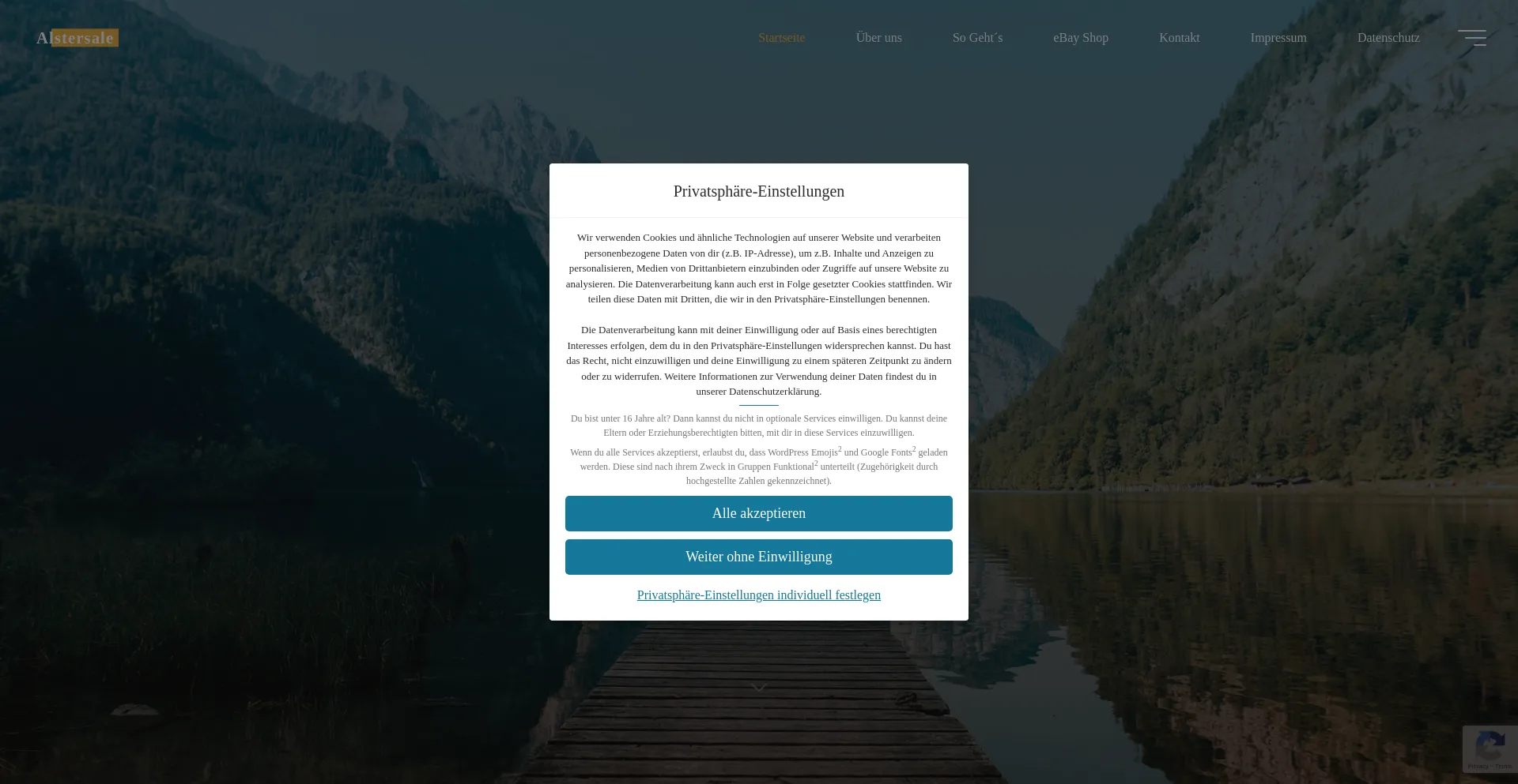 Website screenshot of Alstersale.de
