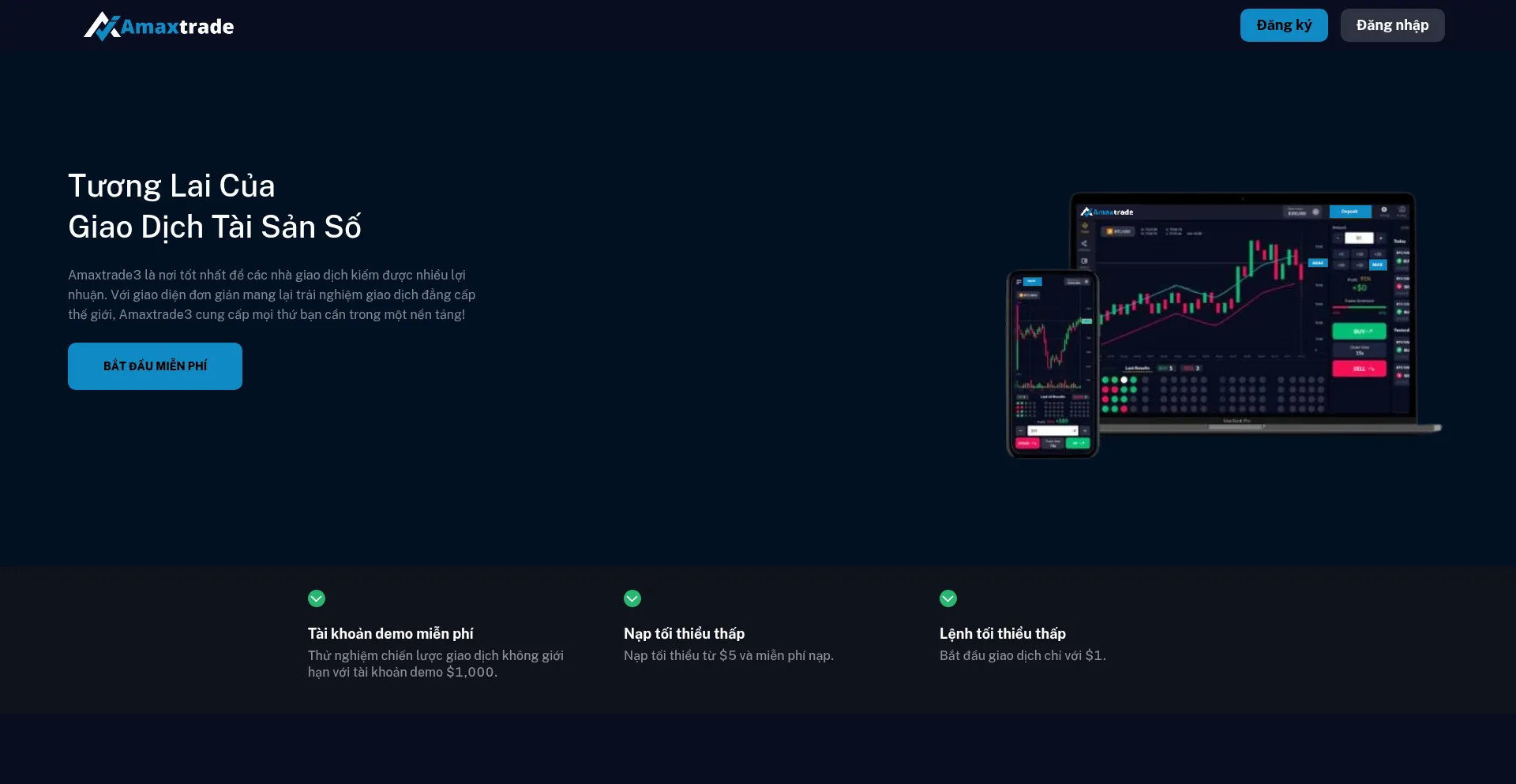 Website screenshot of Amaxtrade3.net