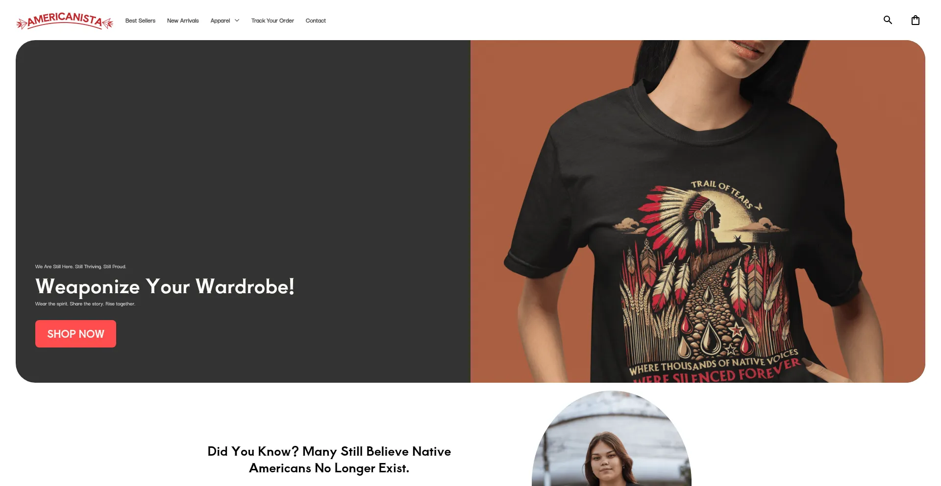 Website screenshot of Americanista.co