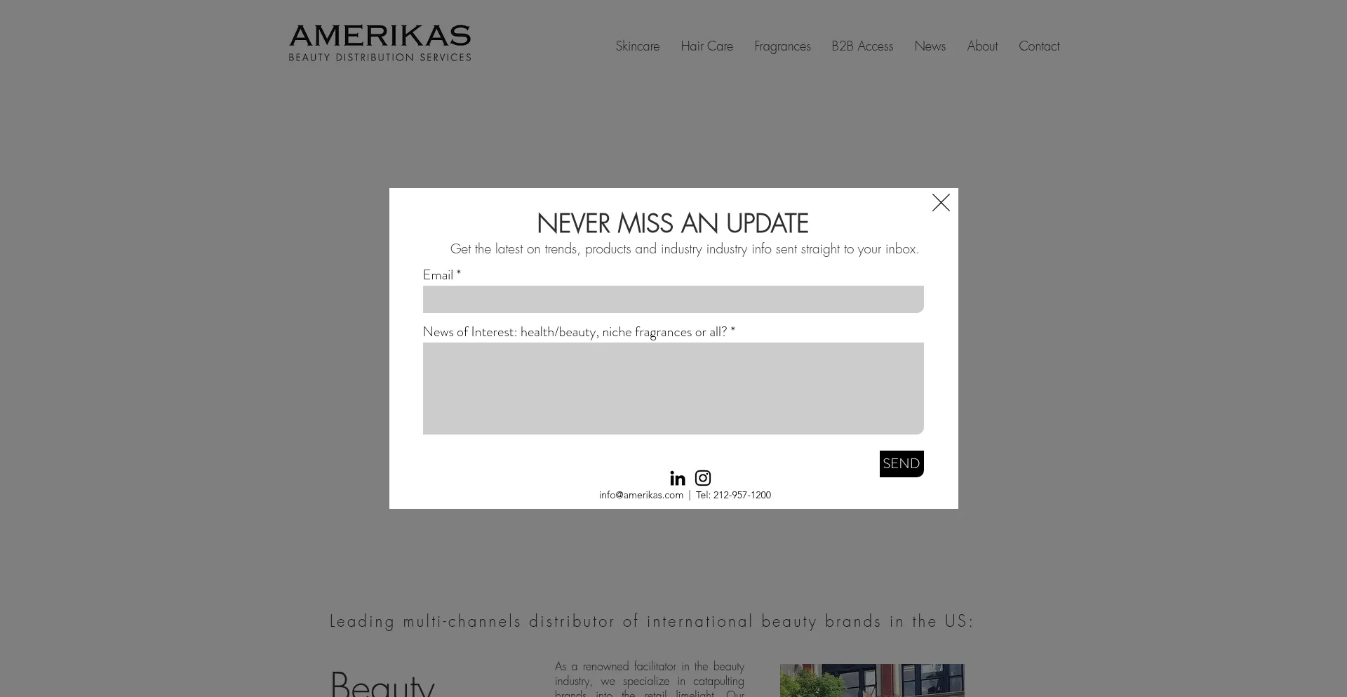 Amerikas.com Screenshot