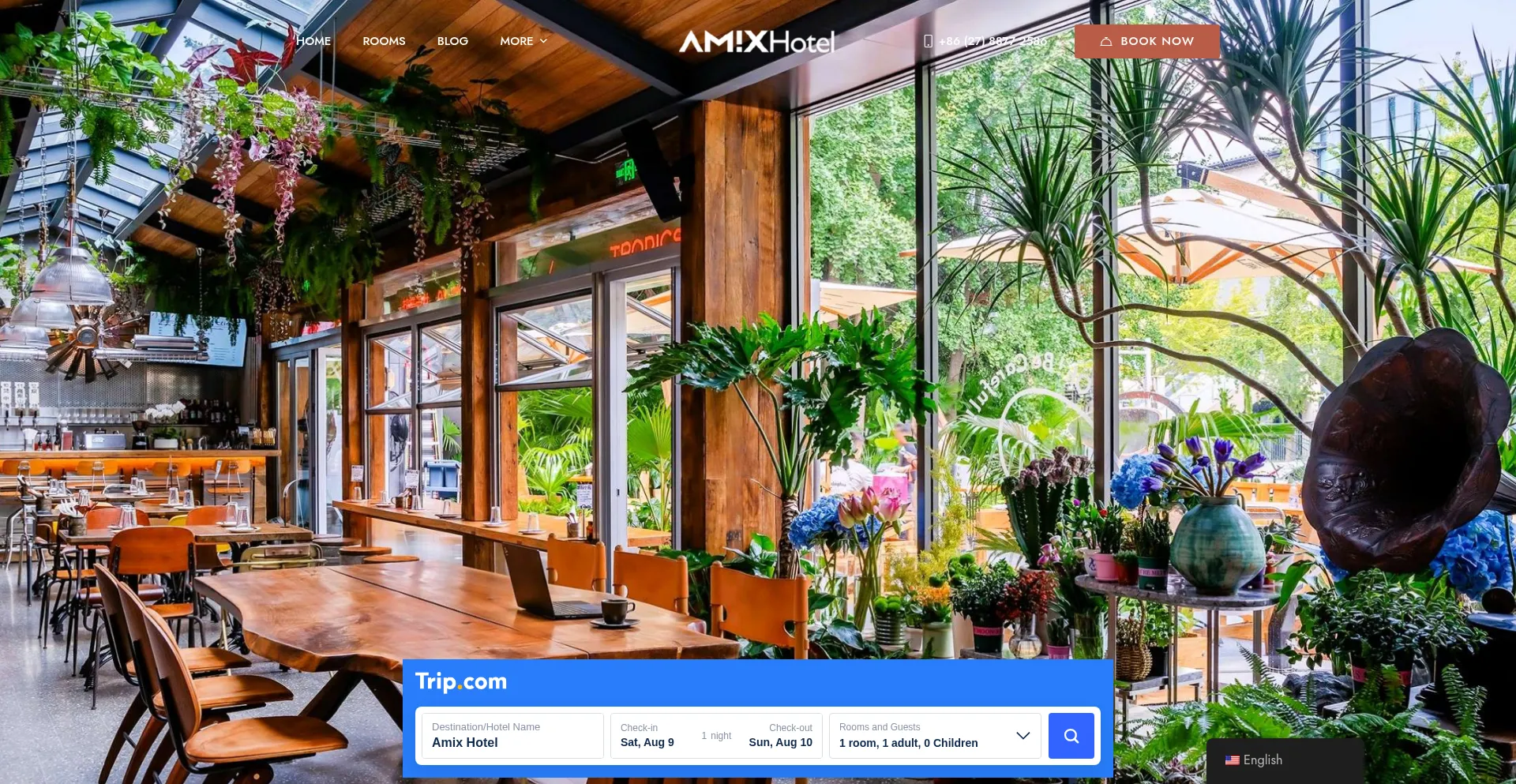 Website screenshot of Amixhotel.com