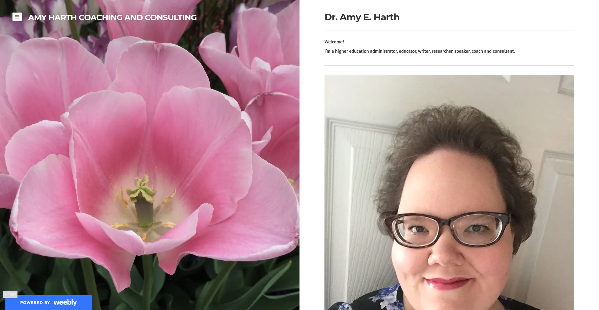 Amyconsulting.org