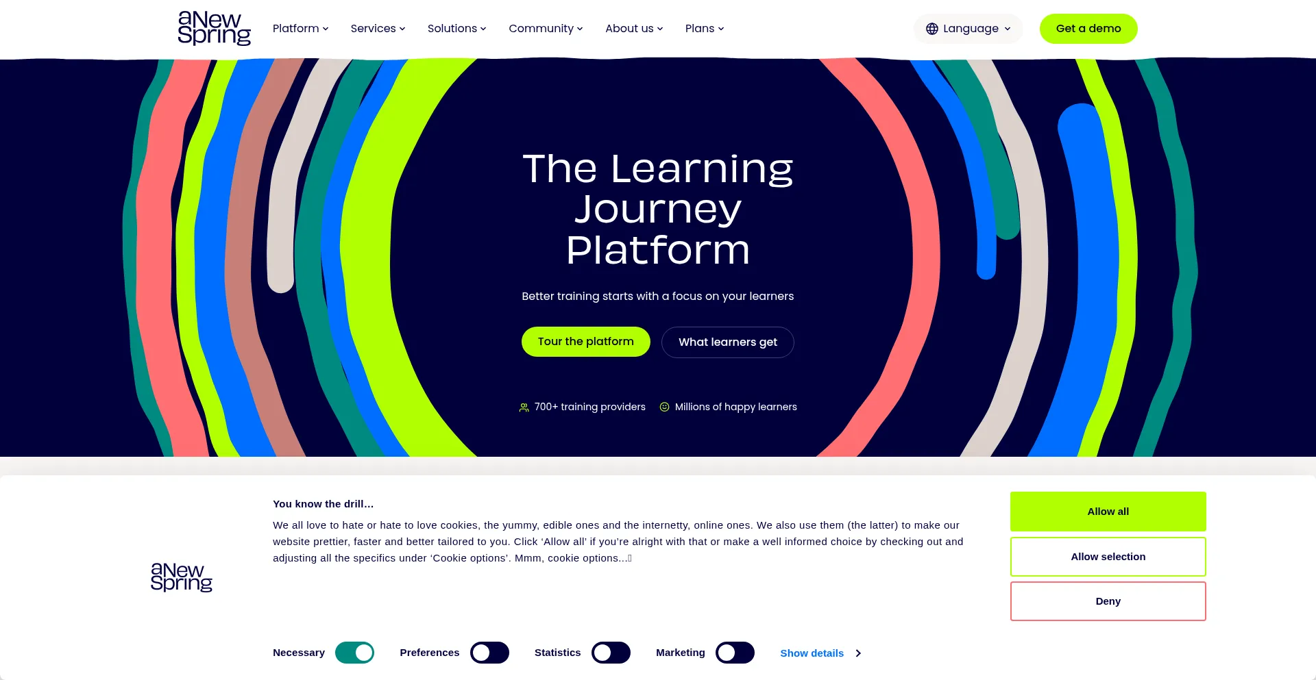 Website screenshot of Anewspring.com