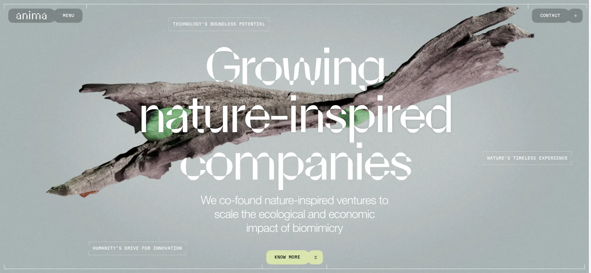 Website screenshot of Anima.ai