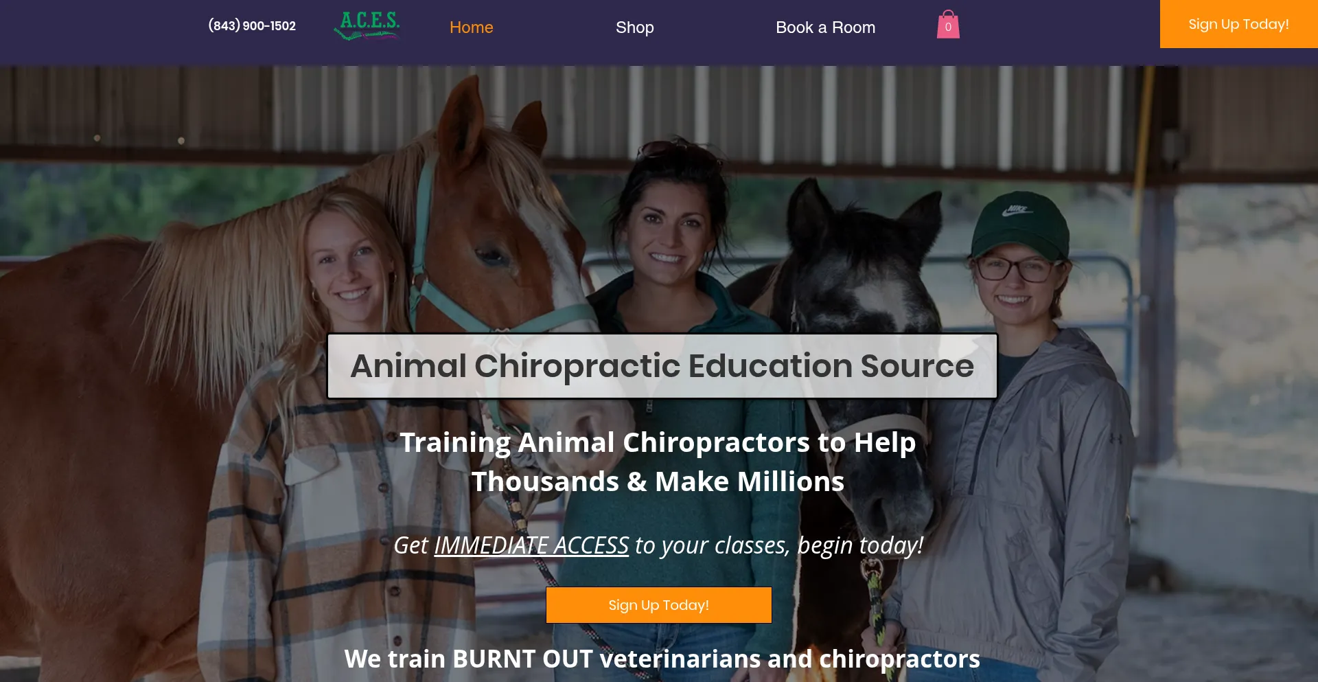 Animalchiropracticeducation.com