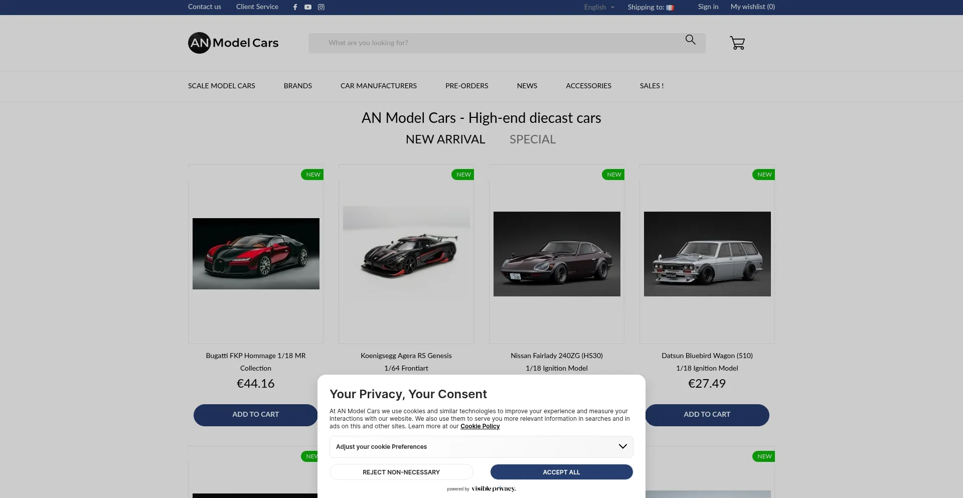 Anmodelcars.com