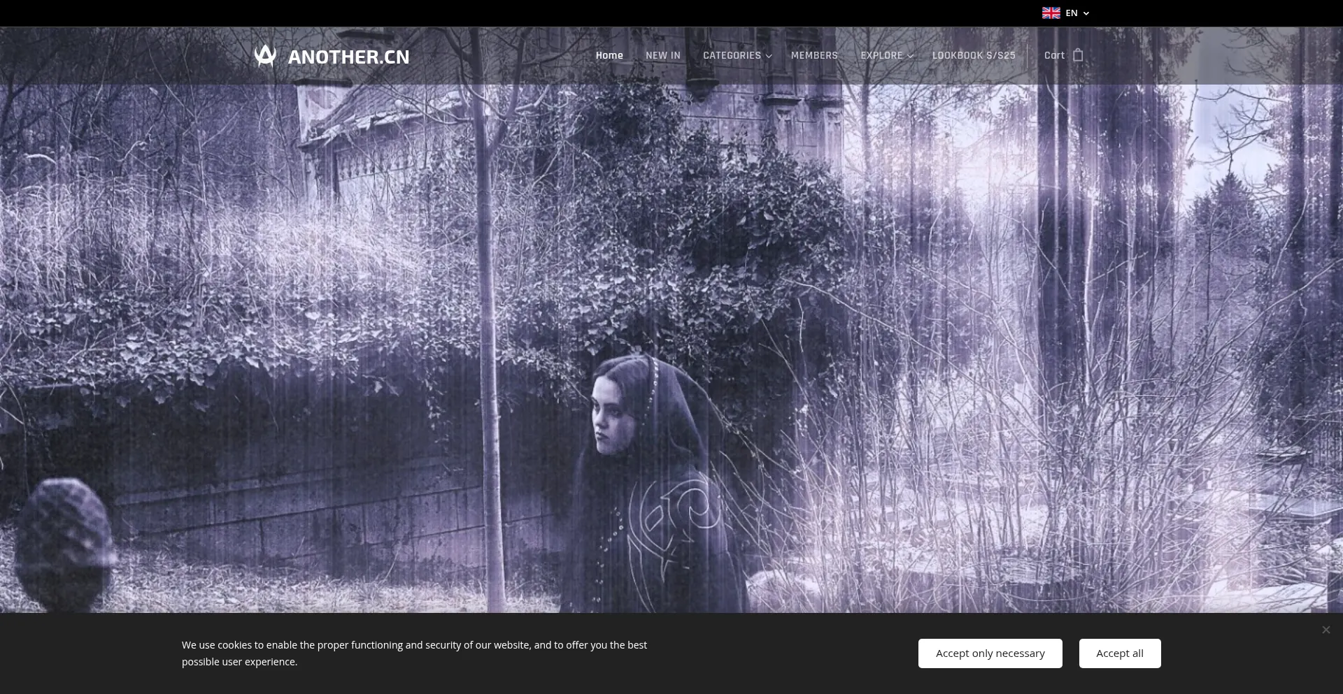 Website screenshot of Anothercn.com