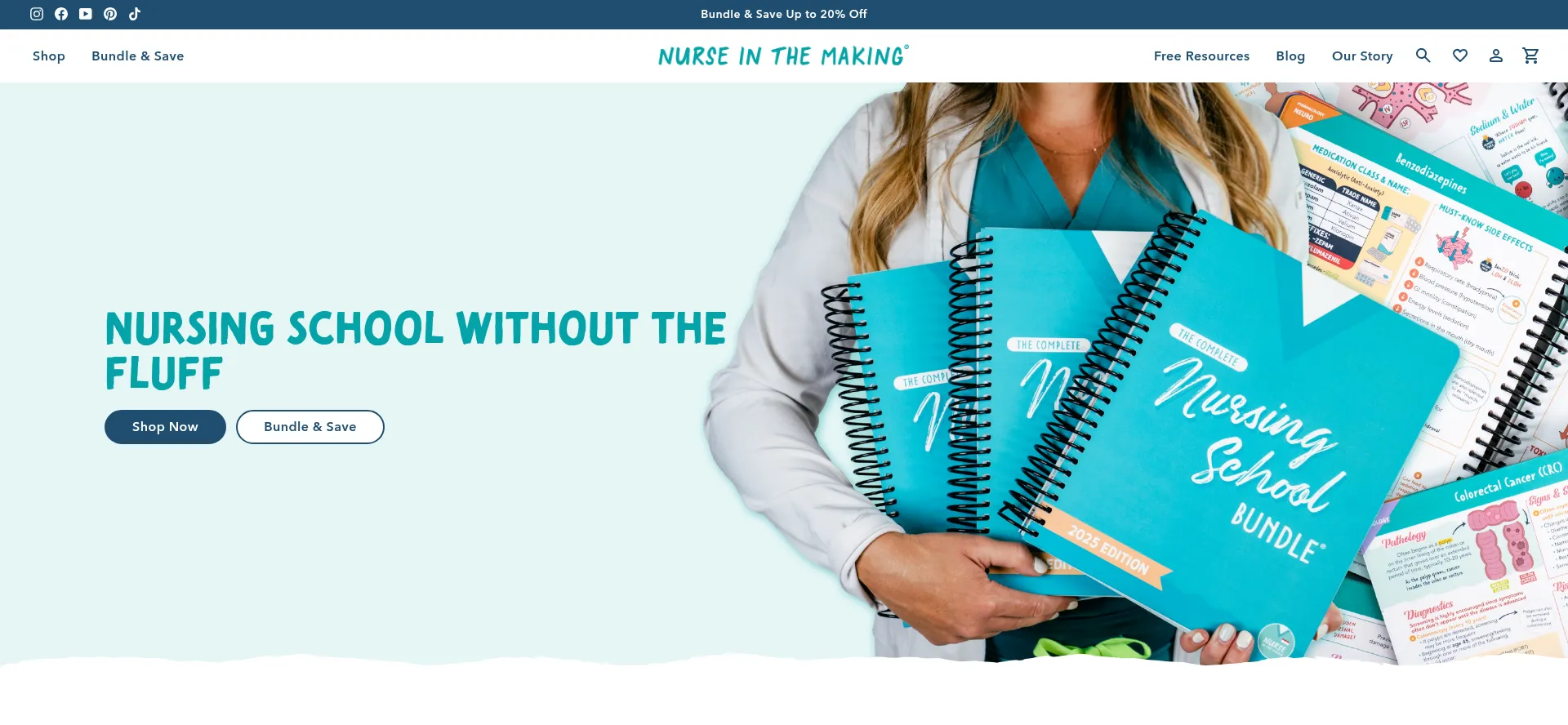 Anurseinthemaking.com