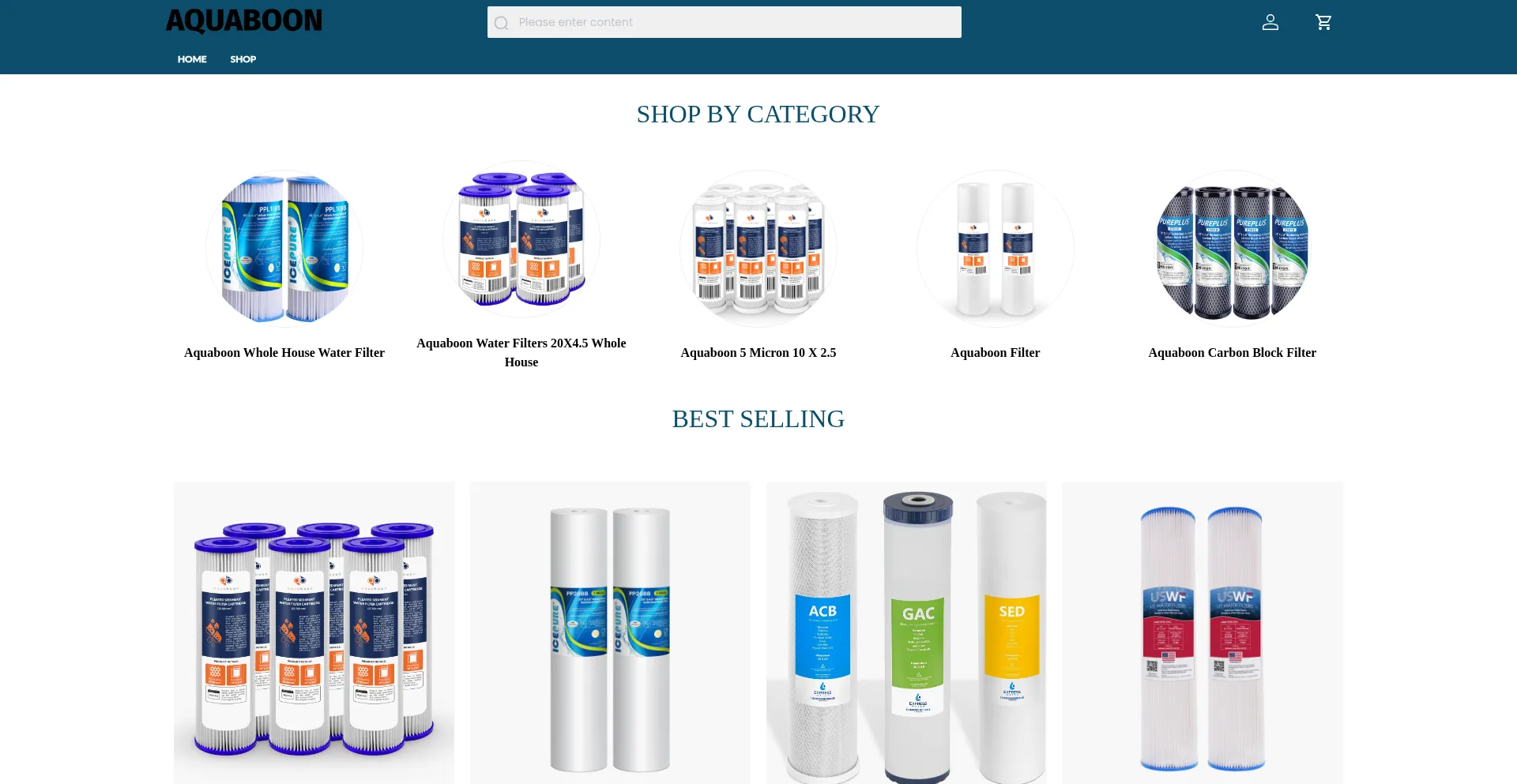 Website screenshot of Aquaboonfilters.shop