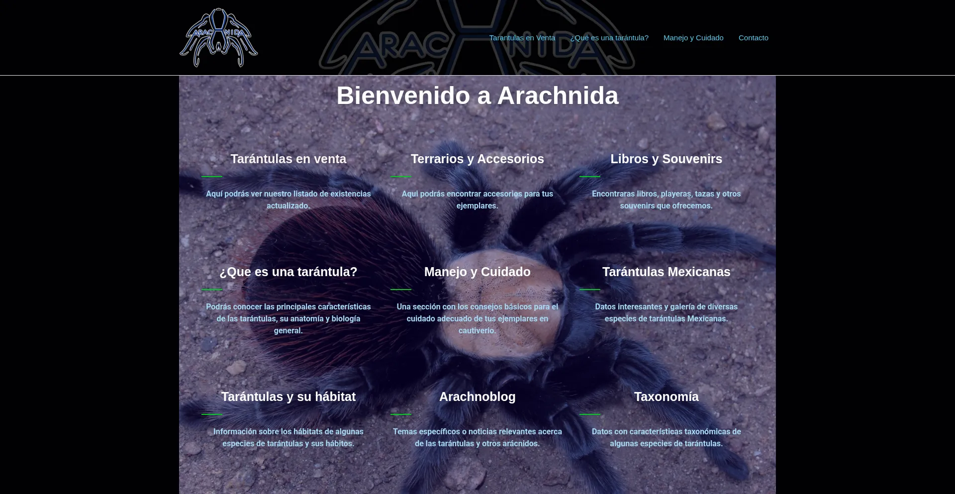 Website screenshot of Arachnida.com.mx