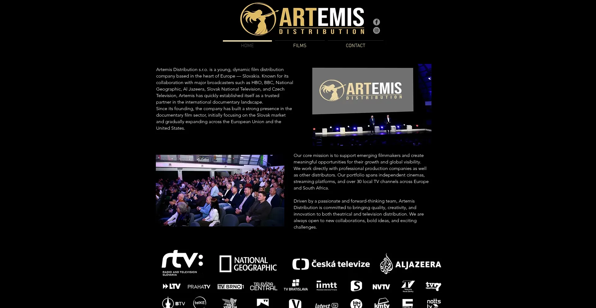 Website screenshot of Artemis-distribution.eu