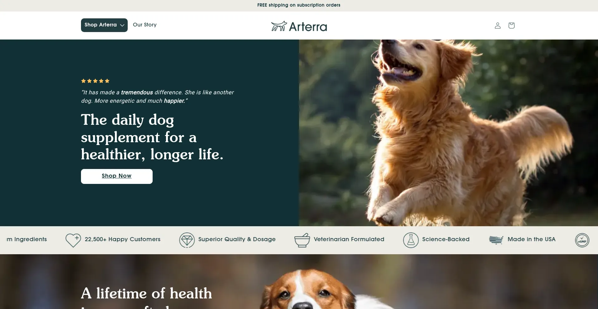 Ist Arterrapet.com sicher und vertrauenswürdig?
