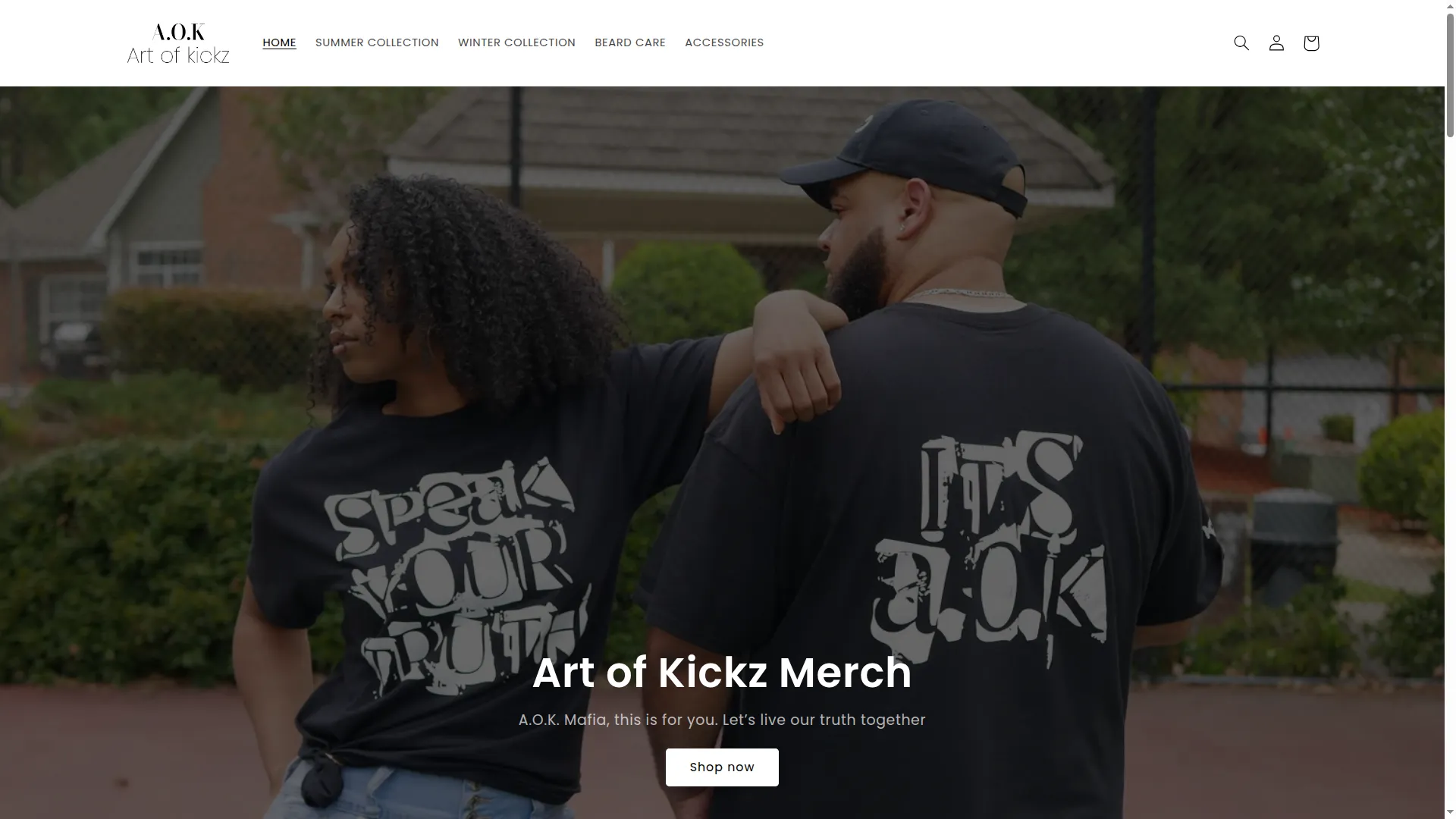 Artofkickz.com