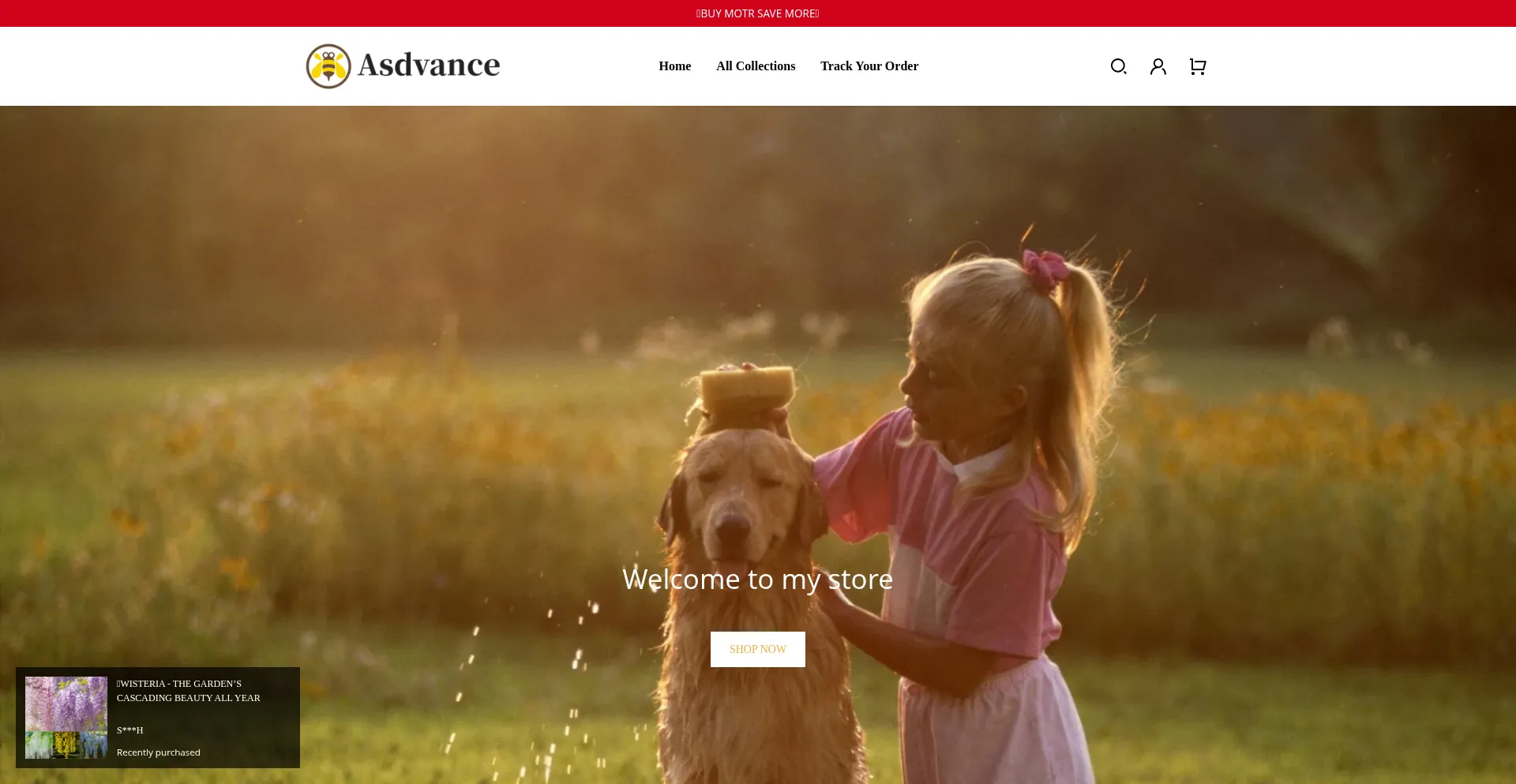 Ist Asdvance.com sicher und vertrauenswürdig?