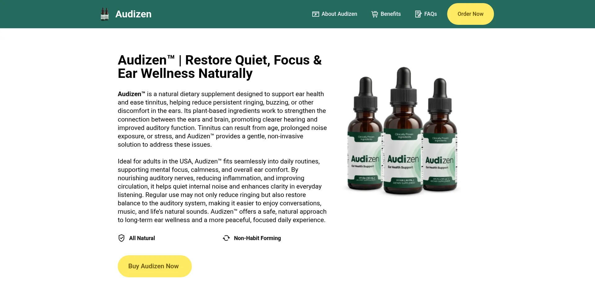 Audizenshop.com Screenshot