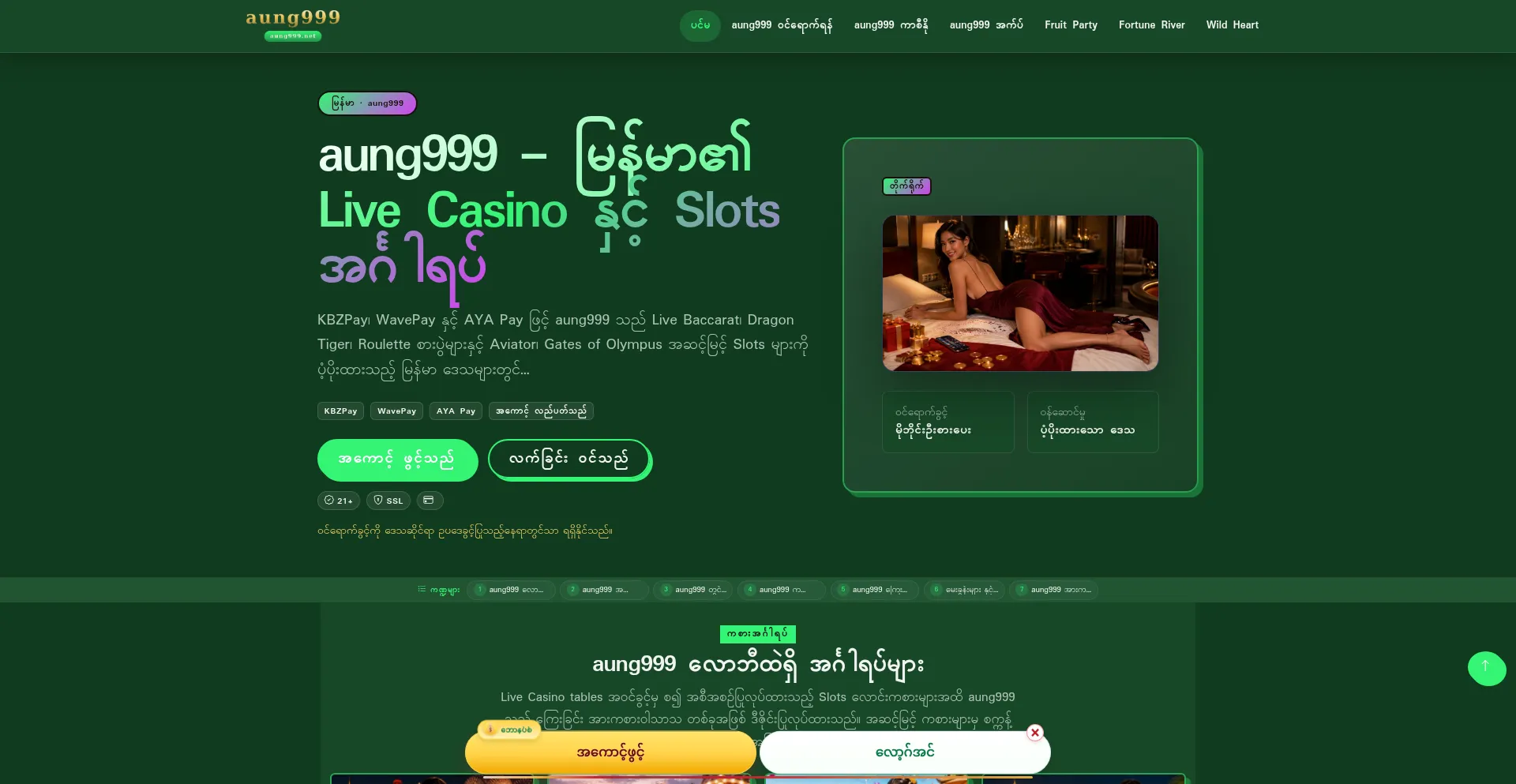 Aung999.net