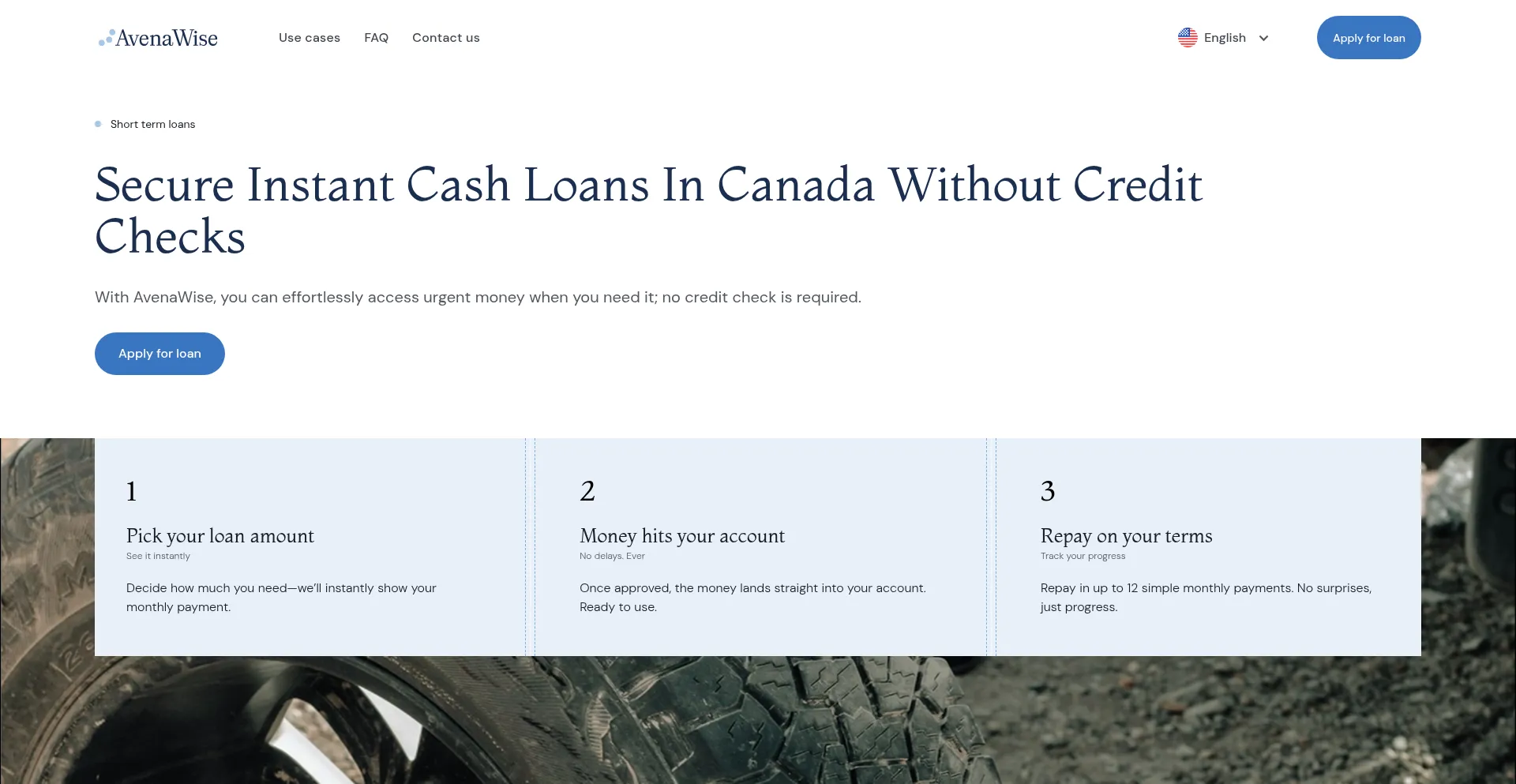 Website screenshot of Avenawise.ca